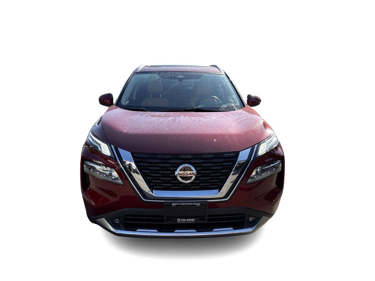 2021  Rogue
