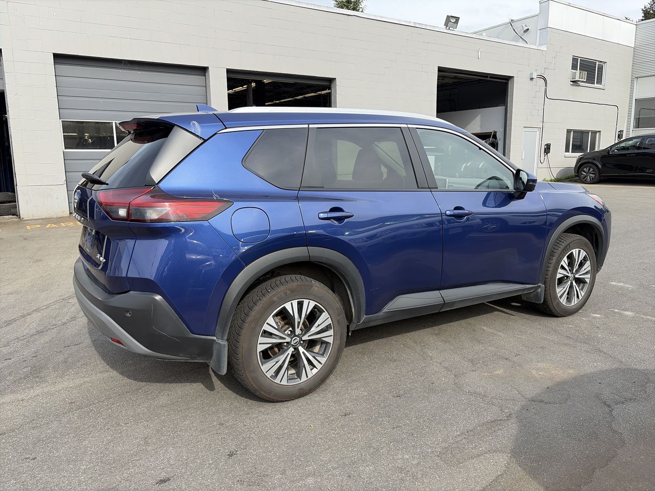 2023  Rogue