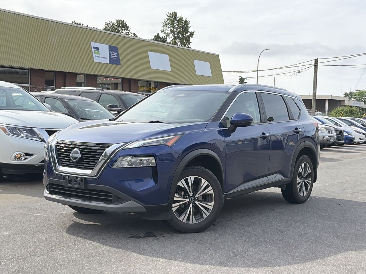 2023  Rogue