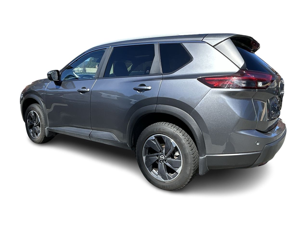 2024  Rogue
