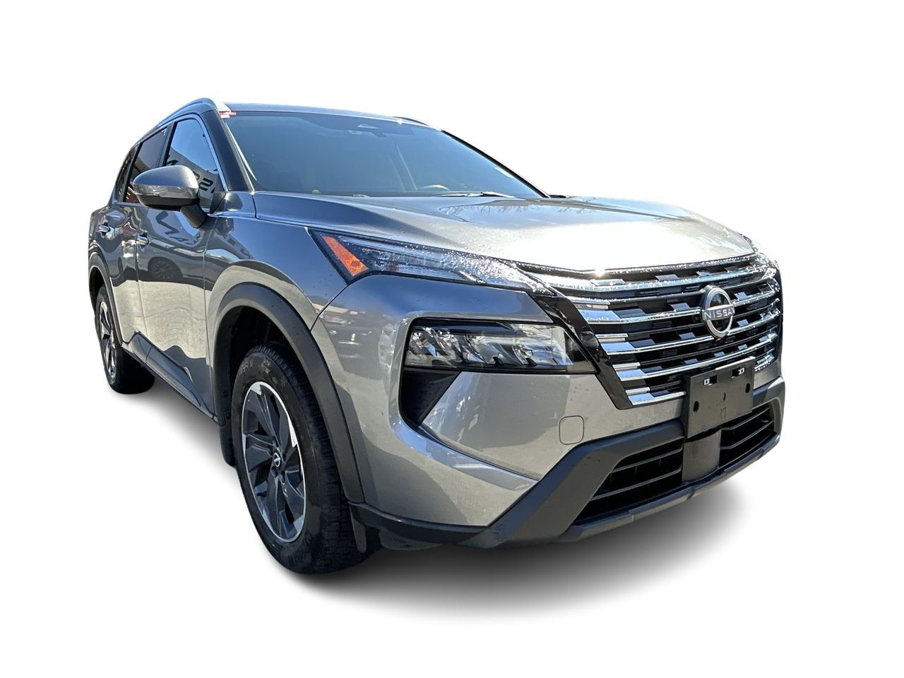 2024  Rogue