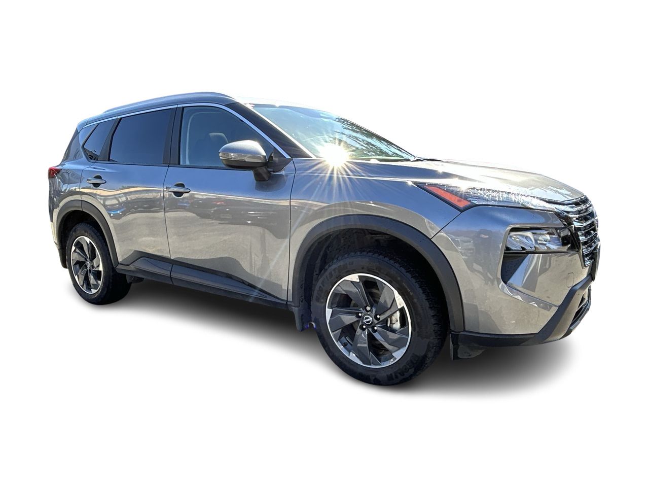 2024  Rogue