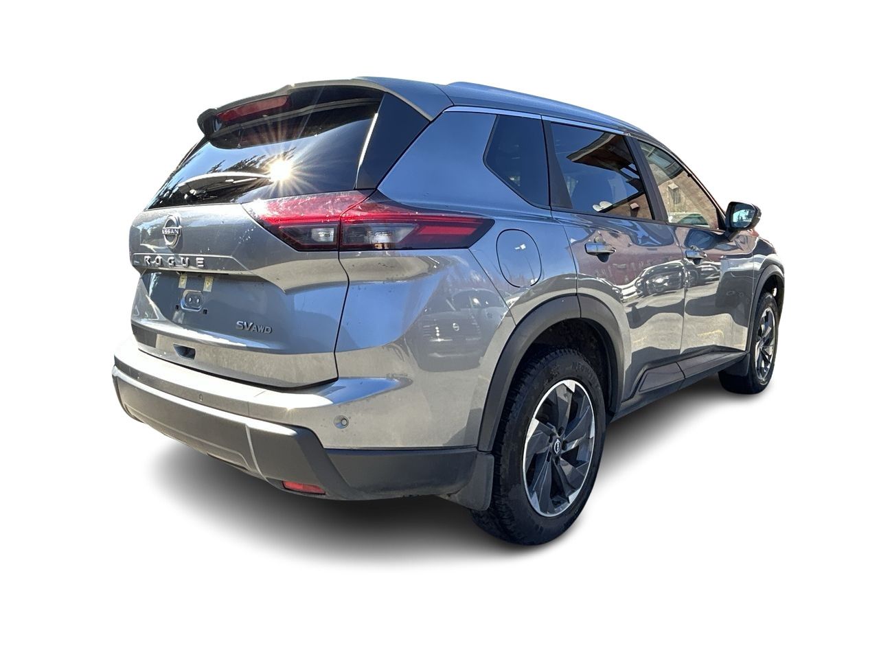 2024  Rogue