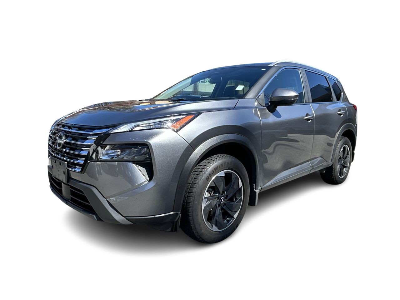 2024  Rogue