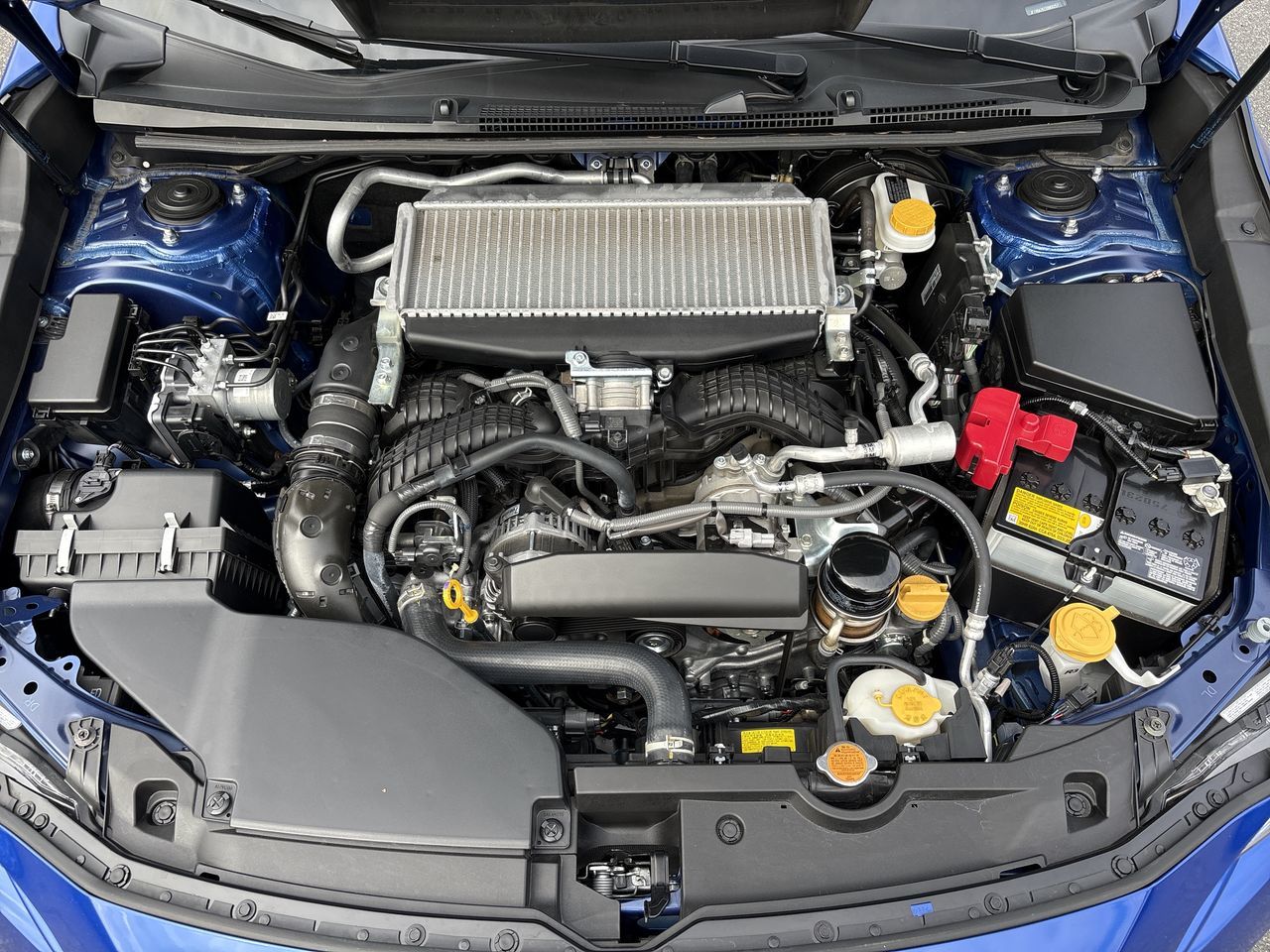 2025  WRX