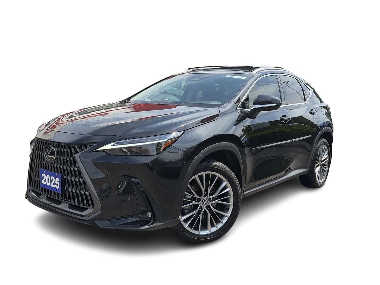 2025 Lexus NX 350