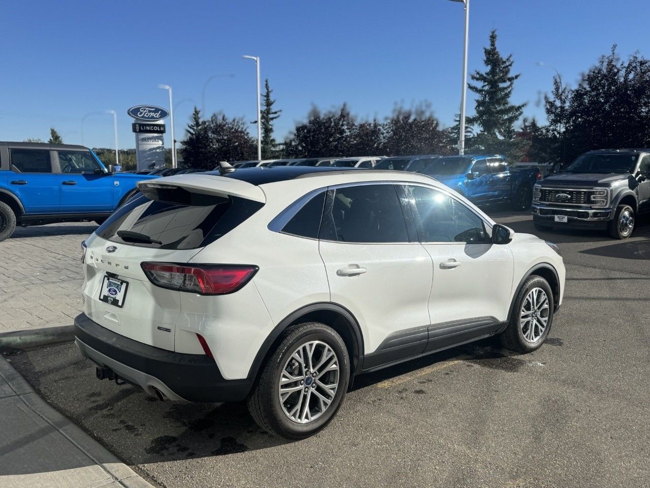 Photo 2022 Ford Escape SEL Hybrid AWD #4