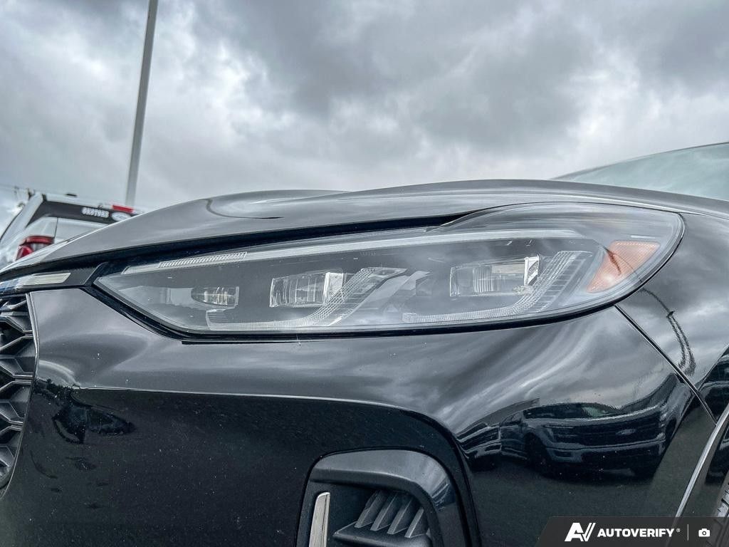 Photo 2023 Ford Escape ST-Line Elite AWD #8