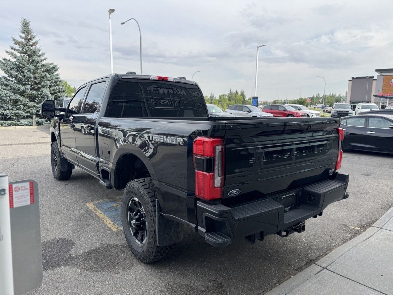 Photo 2025 Ford Super Duty F-350 SRW Platinum 4WD Crew Cab 6.75' Box #4