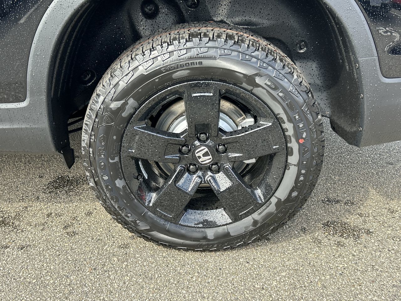 2025  Ridgeline