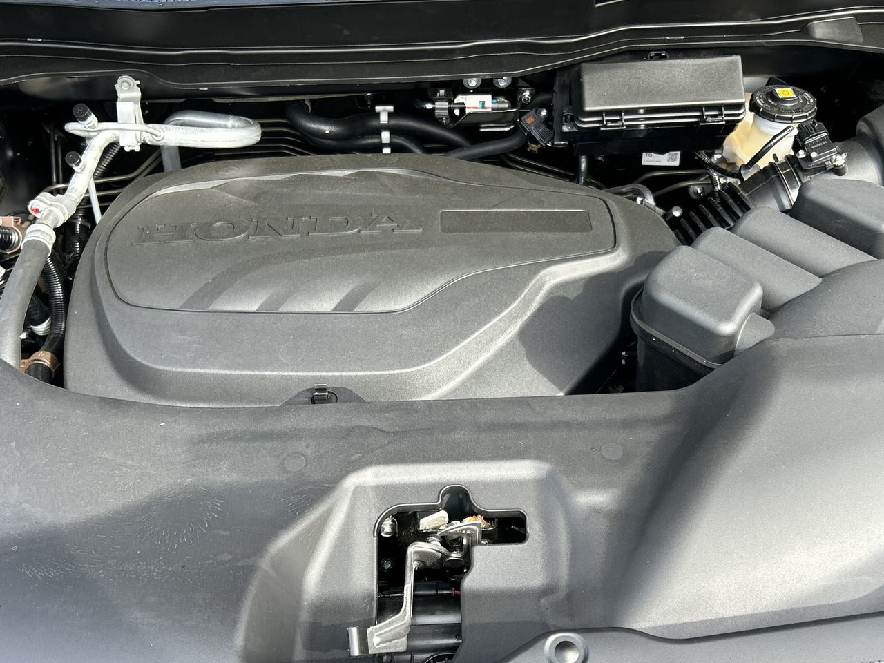 2025  Ridgeline