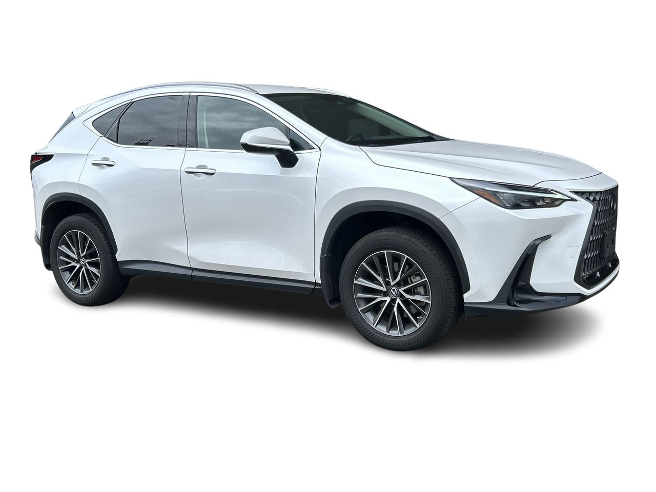 2022 Lexus NXH in North Vancouver, British Columbia