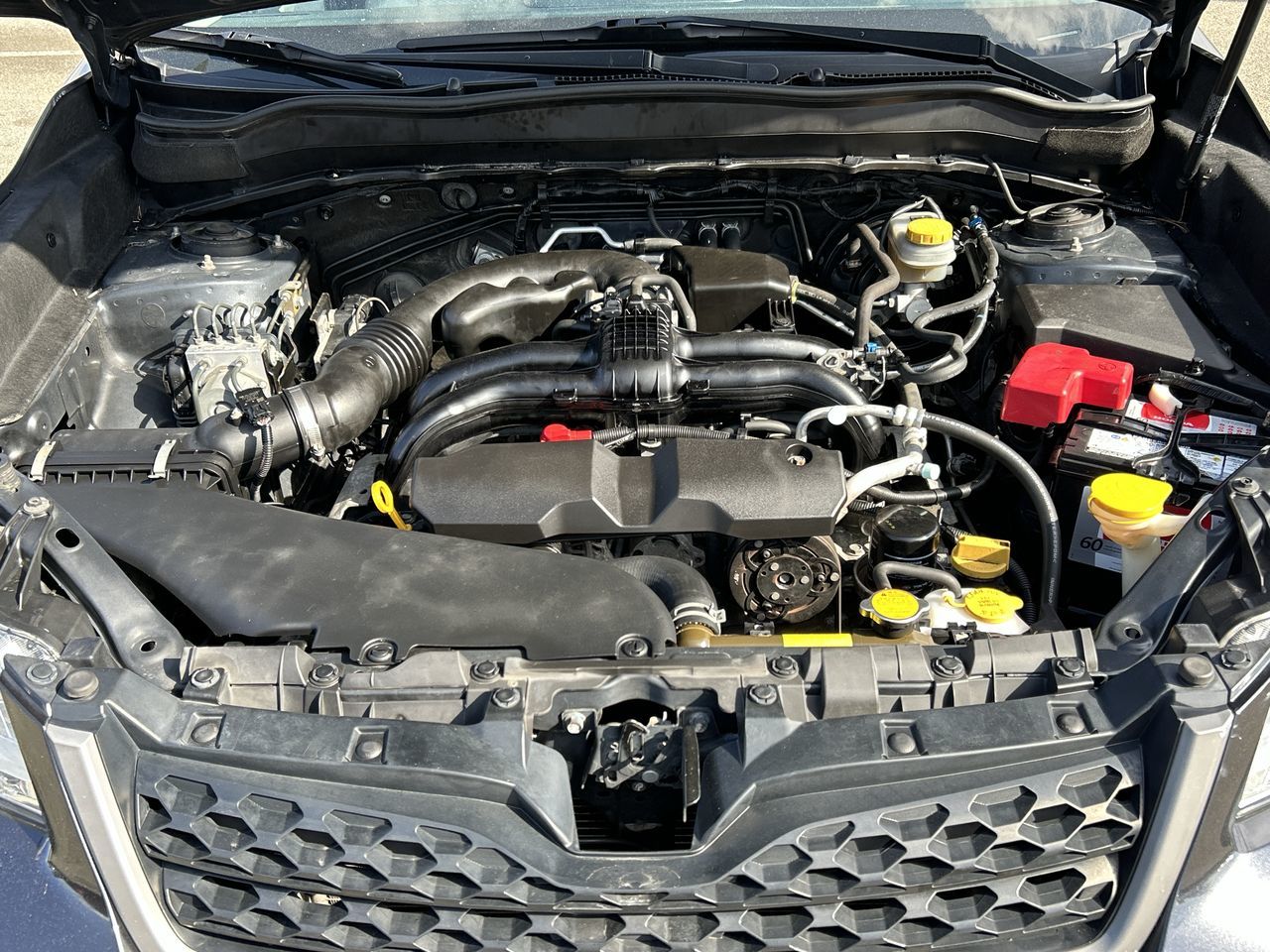 2015  Forester