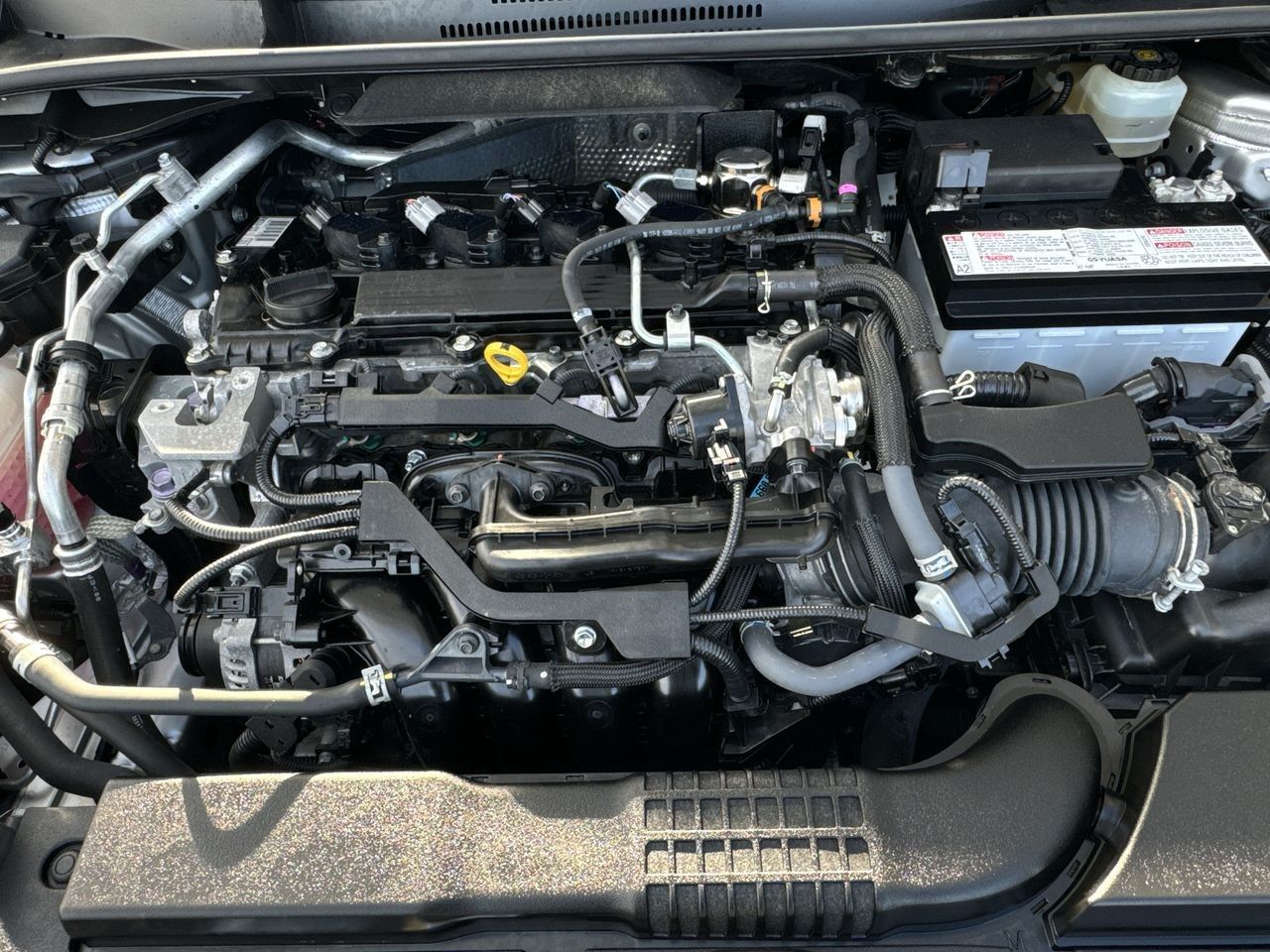 2019  Corolla