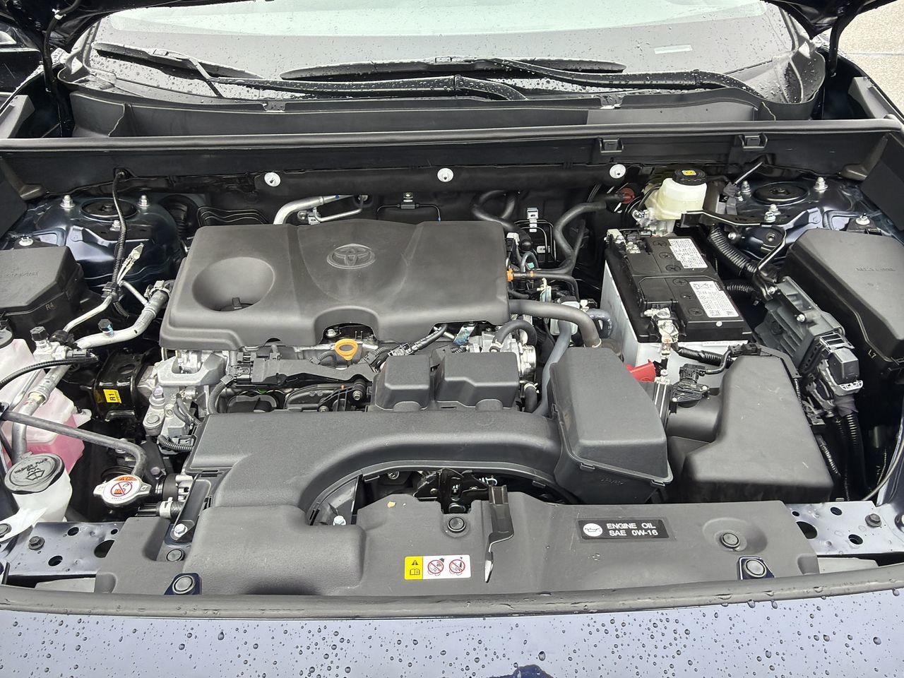 2025  RAV4 XLE AWD