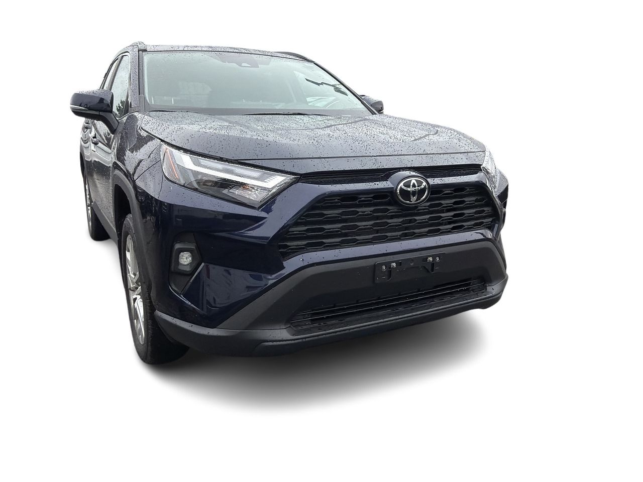 2025  RAV4 XLE AWD