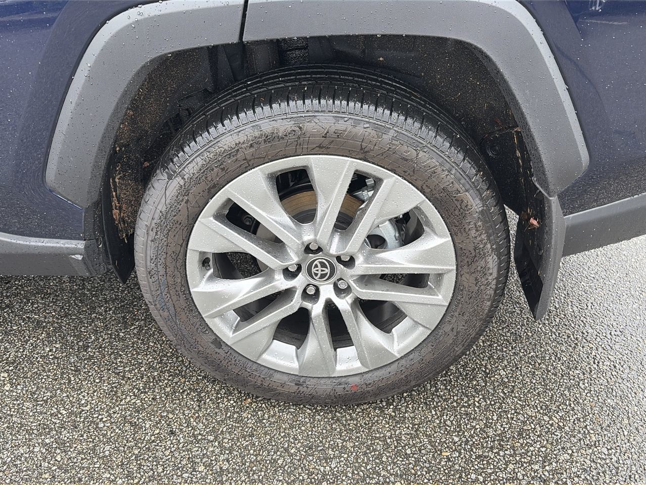 2025  RAV4 XLE AWD