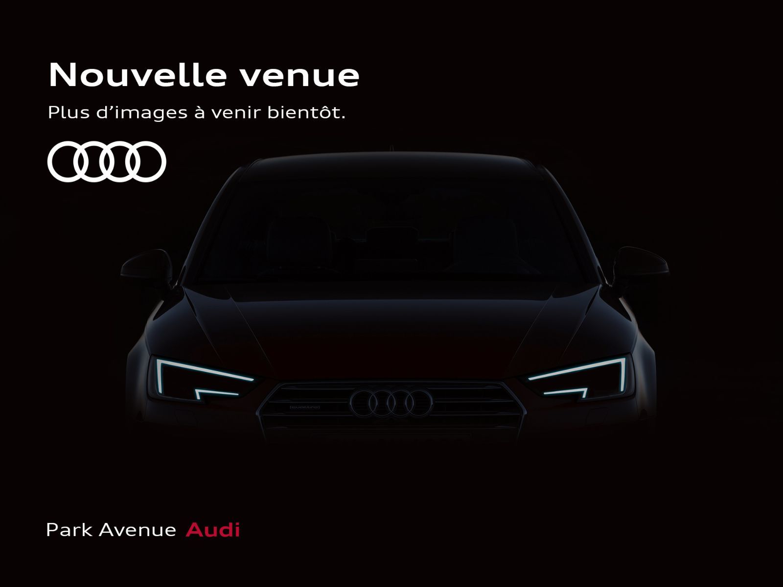 2024 Audi Q4 e-tron 55 quattro