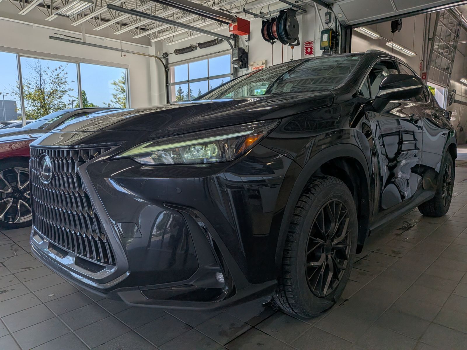 2024 Lexus NX 350h LUXE