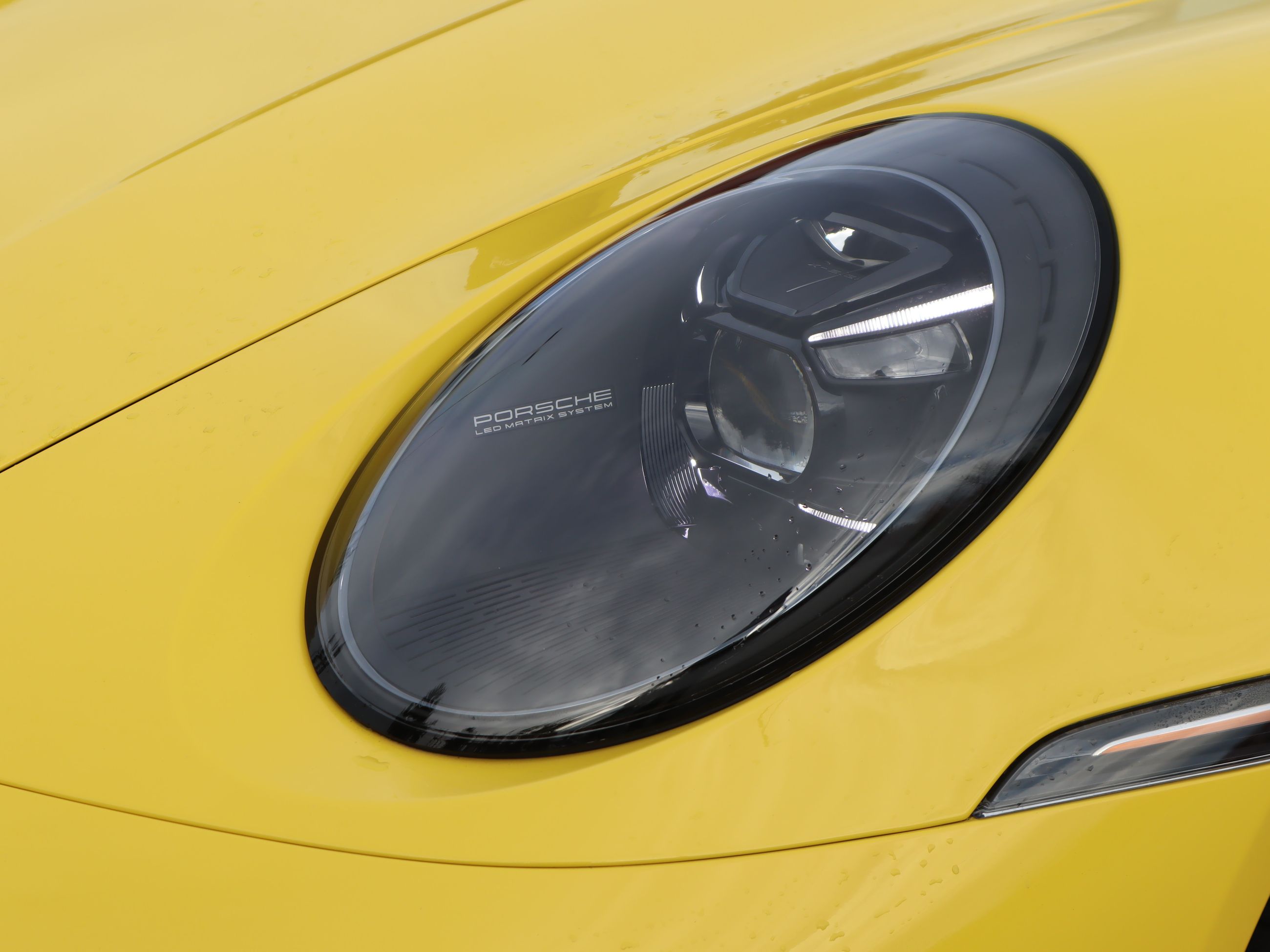 Porsche 911  2024 à Vancouver, Colombie-Britannique