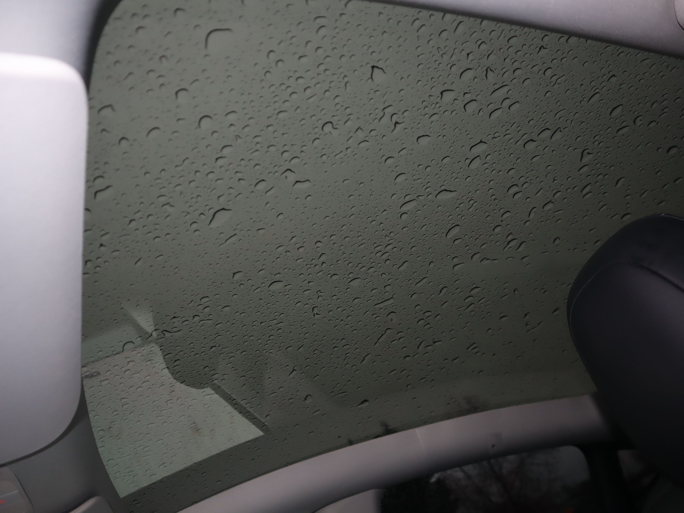 2022 Tesla Model Y in Vancouver, British Columbia