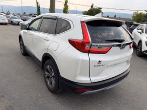 Photo 2018 Honda CR-V LX #7