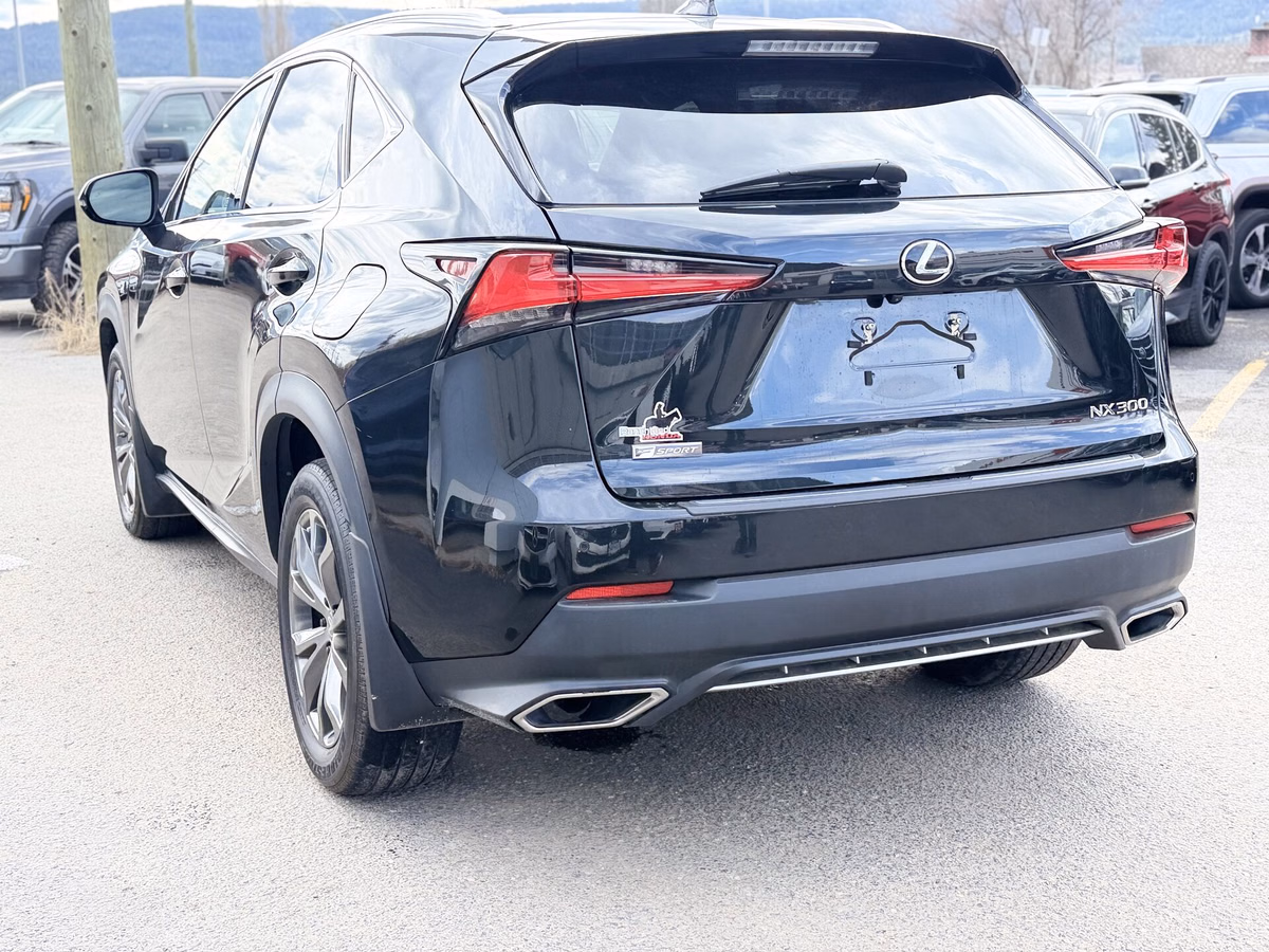 Photo 2021 Lexus NX NX 300 #7