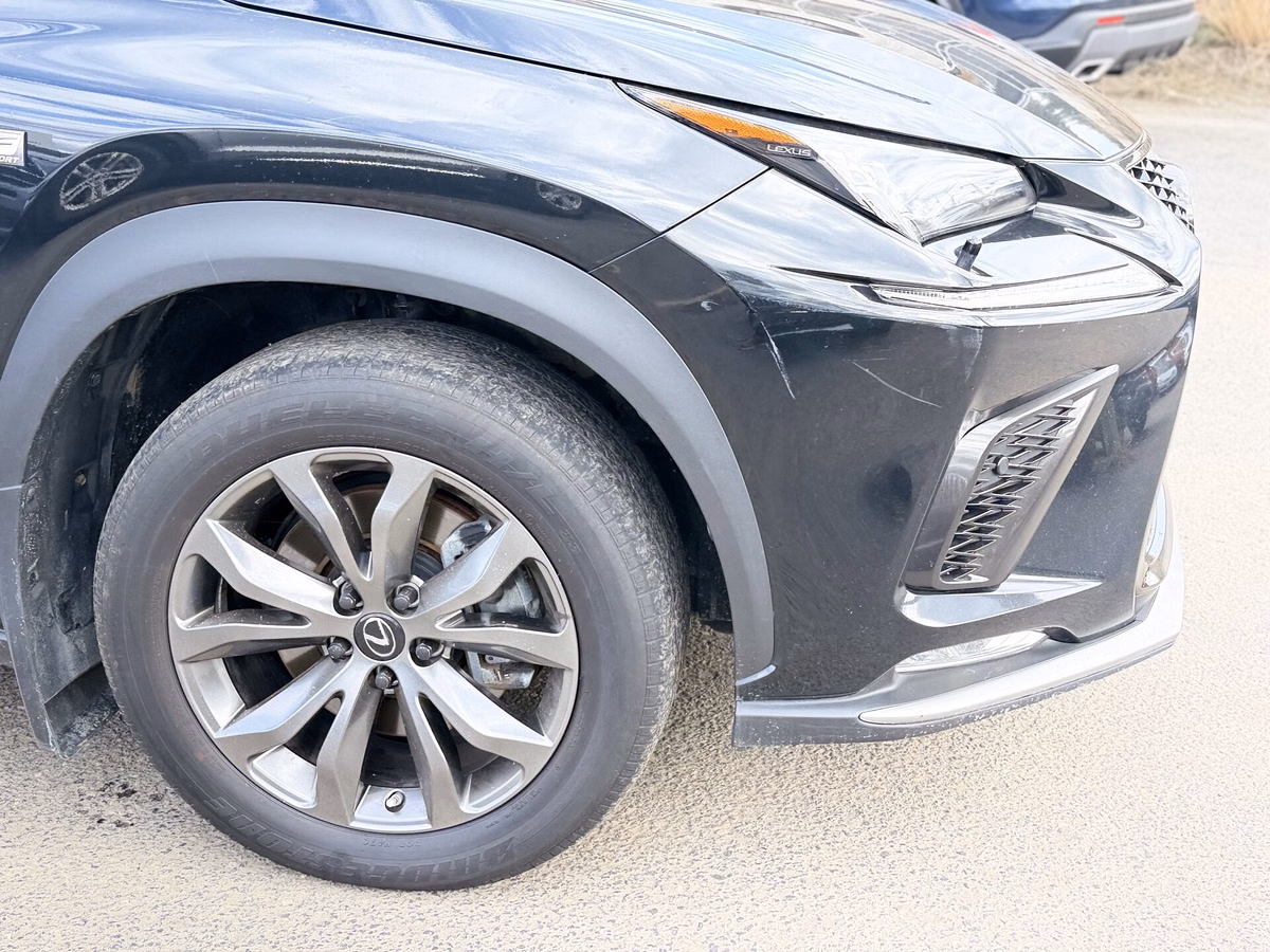Photo 2021 Lexus NX NX 300 #4