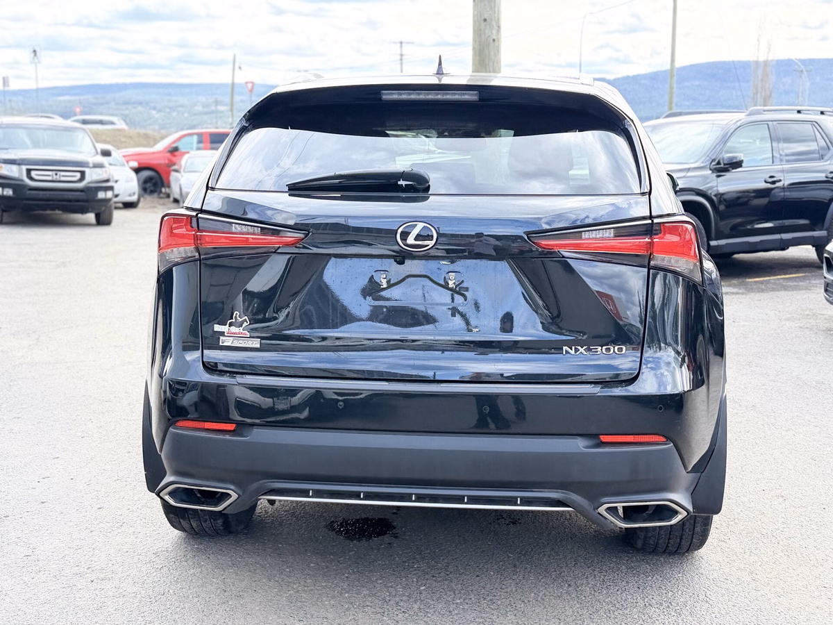 Photo 2021 Lexus NX NX 300 #6