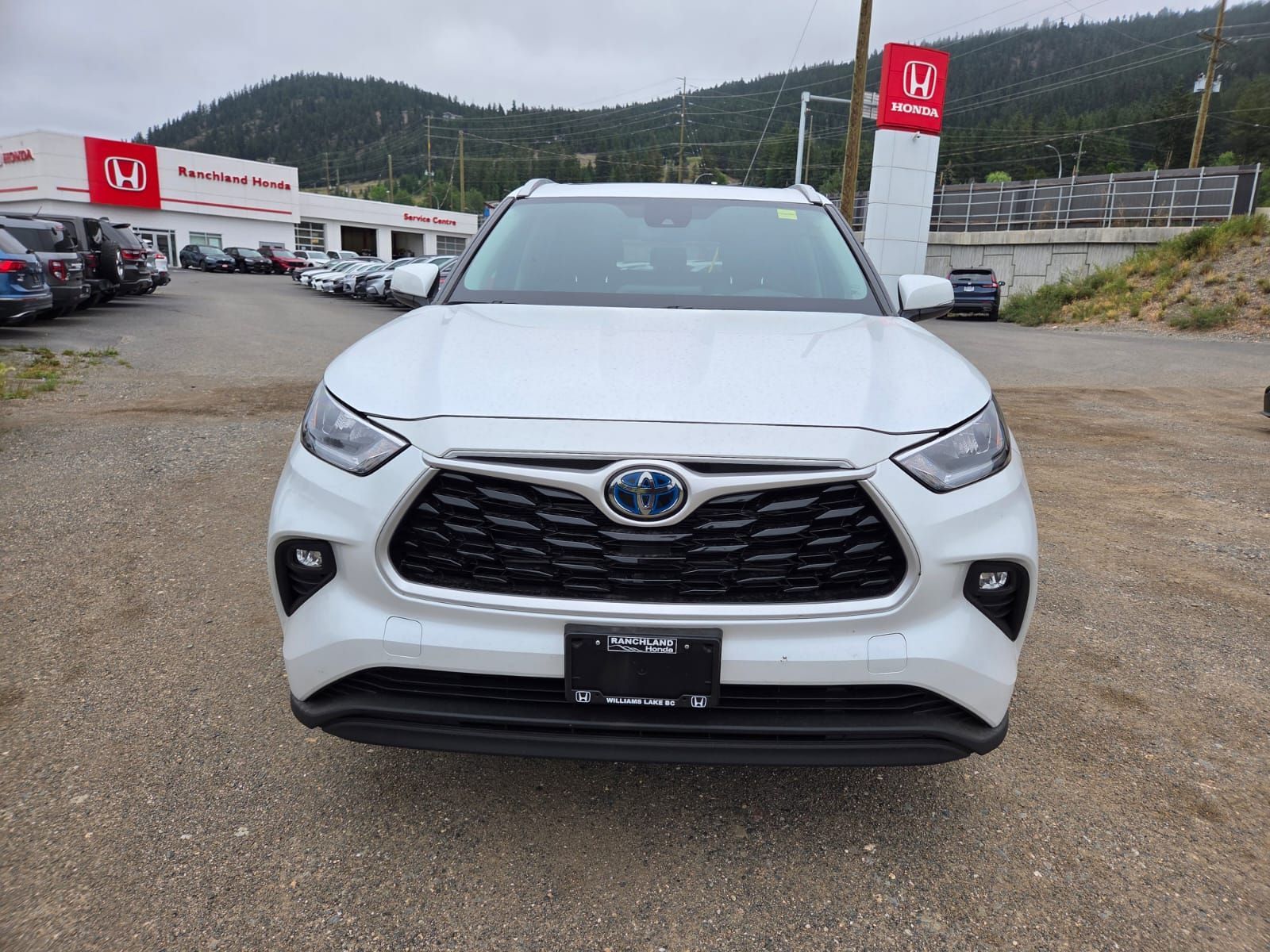 Photo 2023 Toyota Highlander Hybrid XLE #2