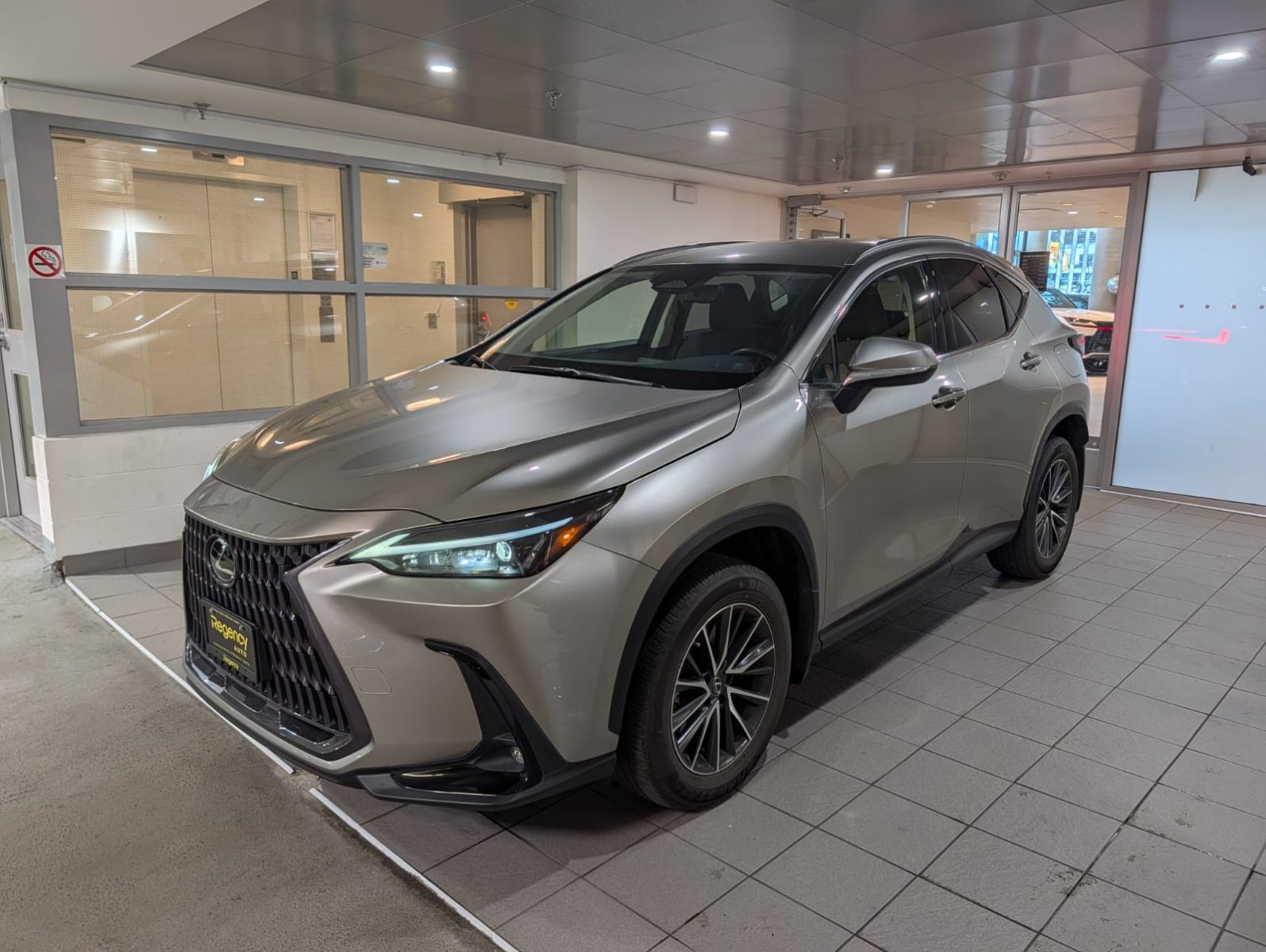 2022 Lexus NX 250 NX 250