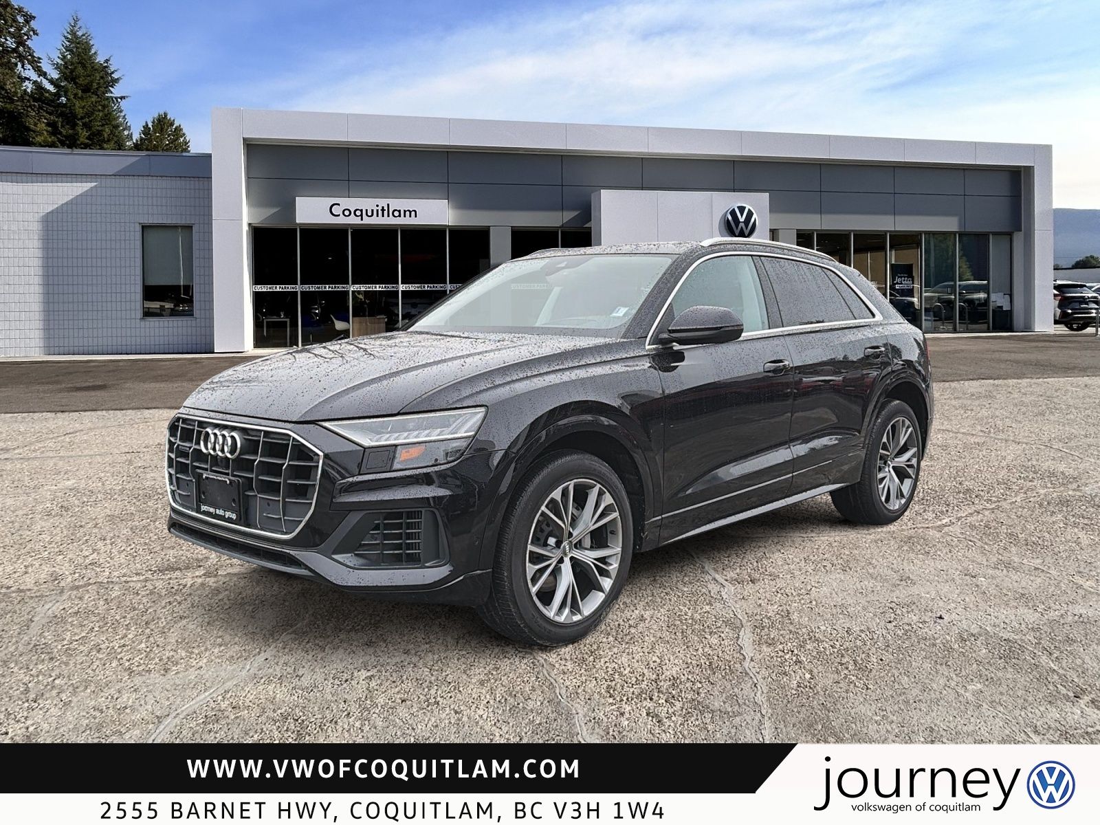 2019 Audi Q8 3.0T Technik quattro 8sp Tiptronic