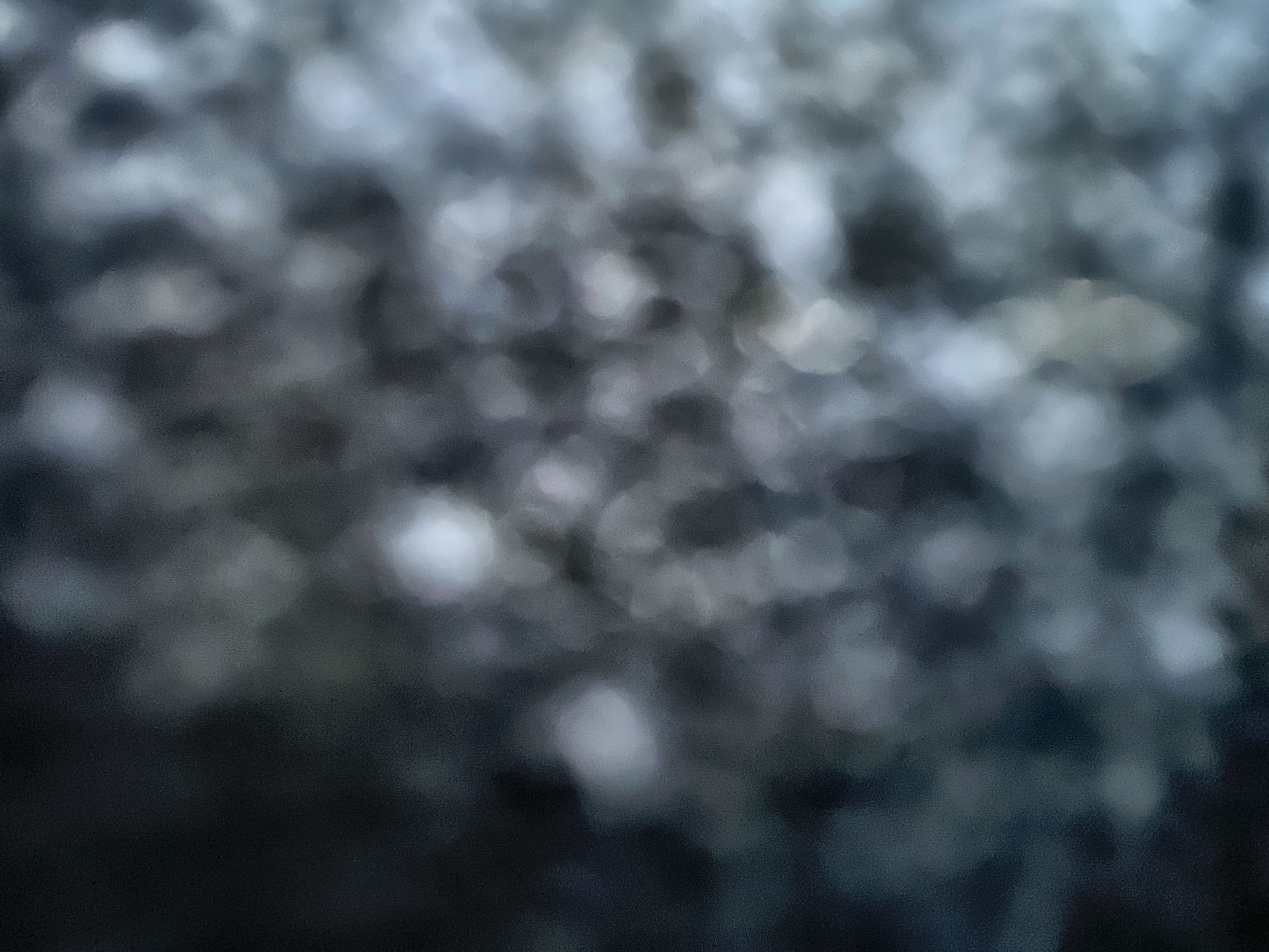 Acura MDX  2019 à Regina, Saskatchewan