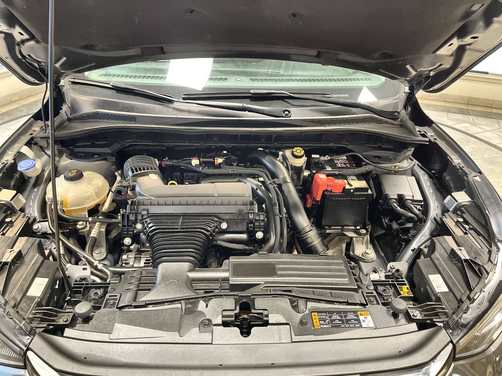 2023 Ford Escape in Regina, Saskatchewan