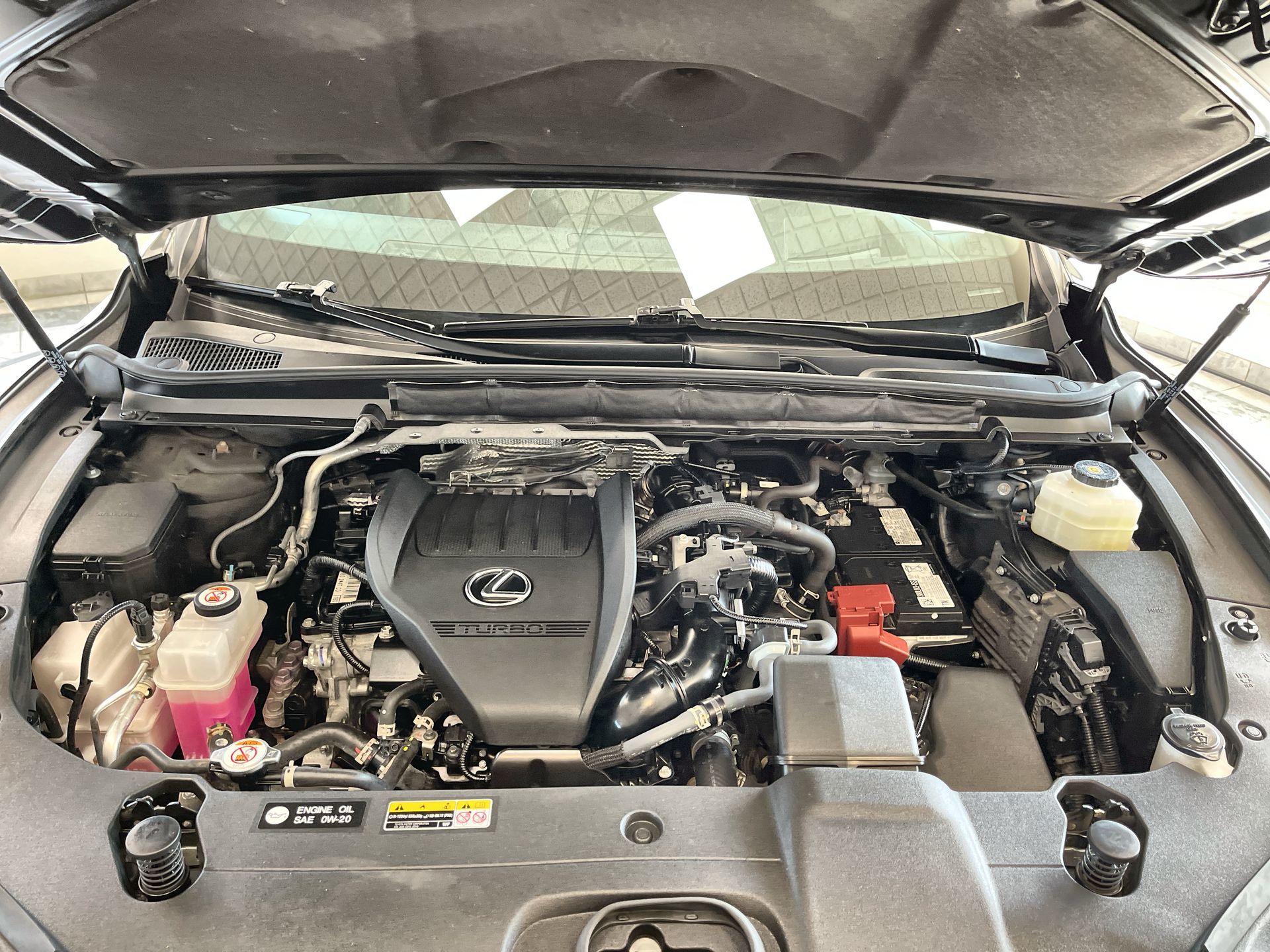 2023 Lexus RX 350