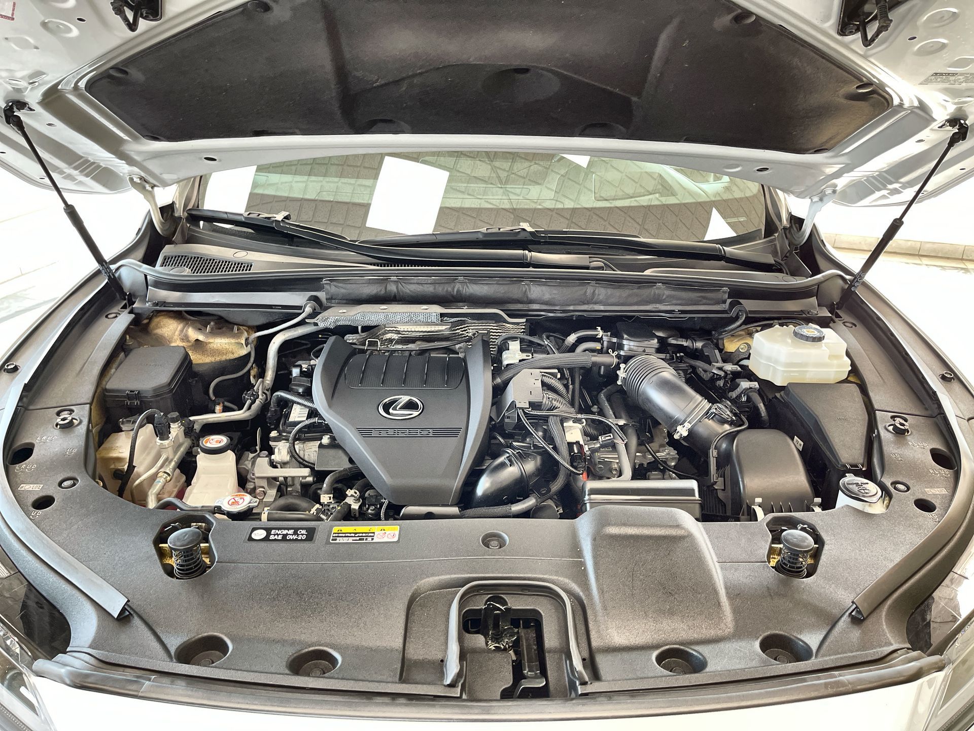 2023 Lexus RXh in Regina, Saskatchewan