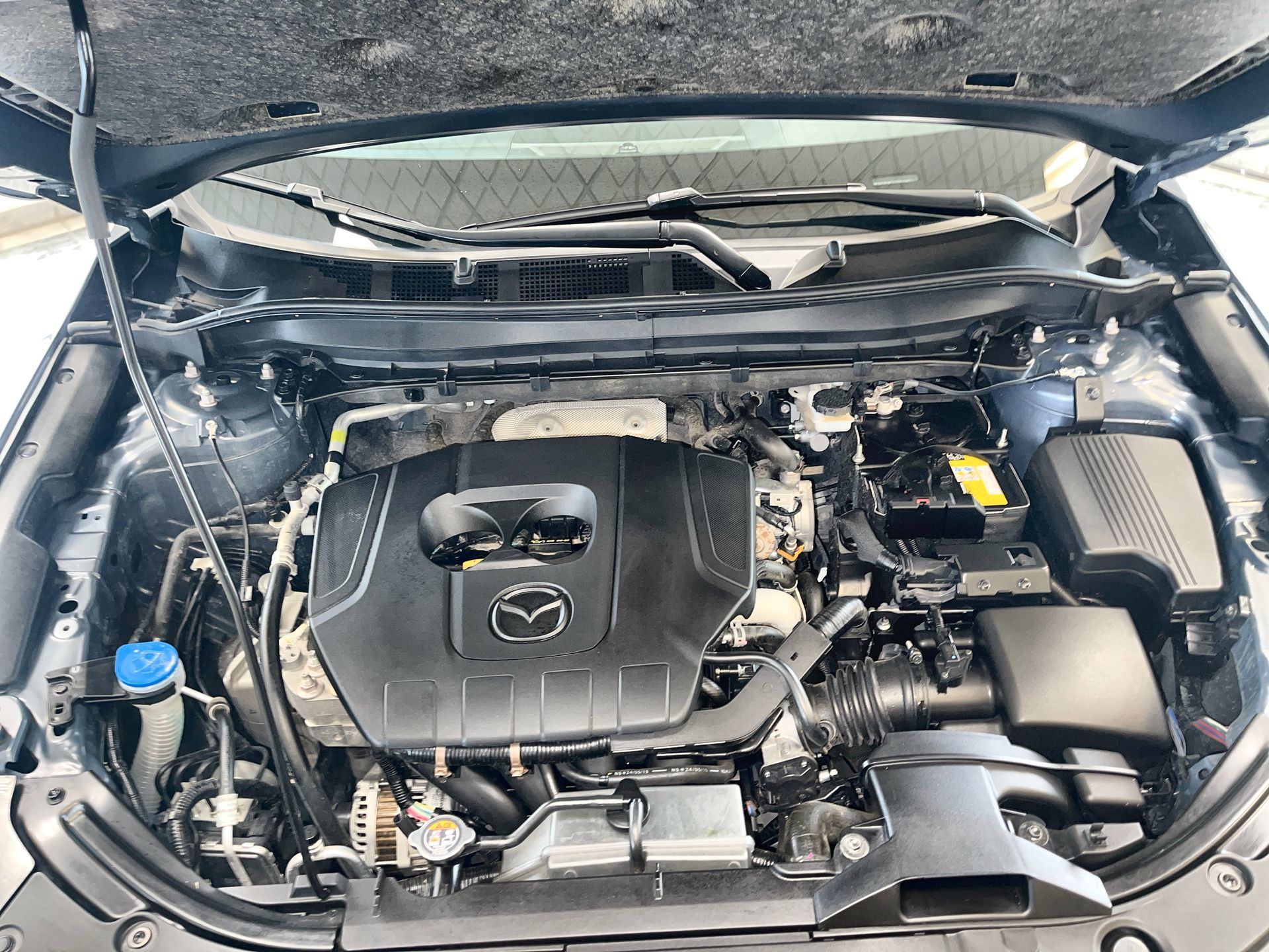 2025 Mazda CX-5 in Regina, Saskatchewan