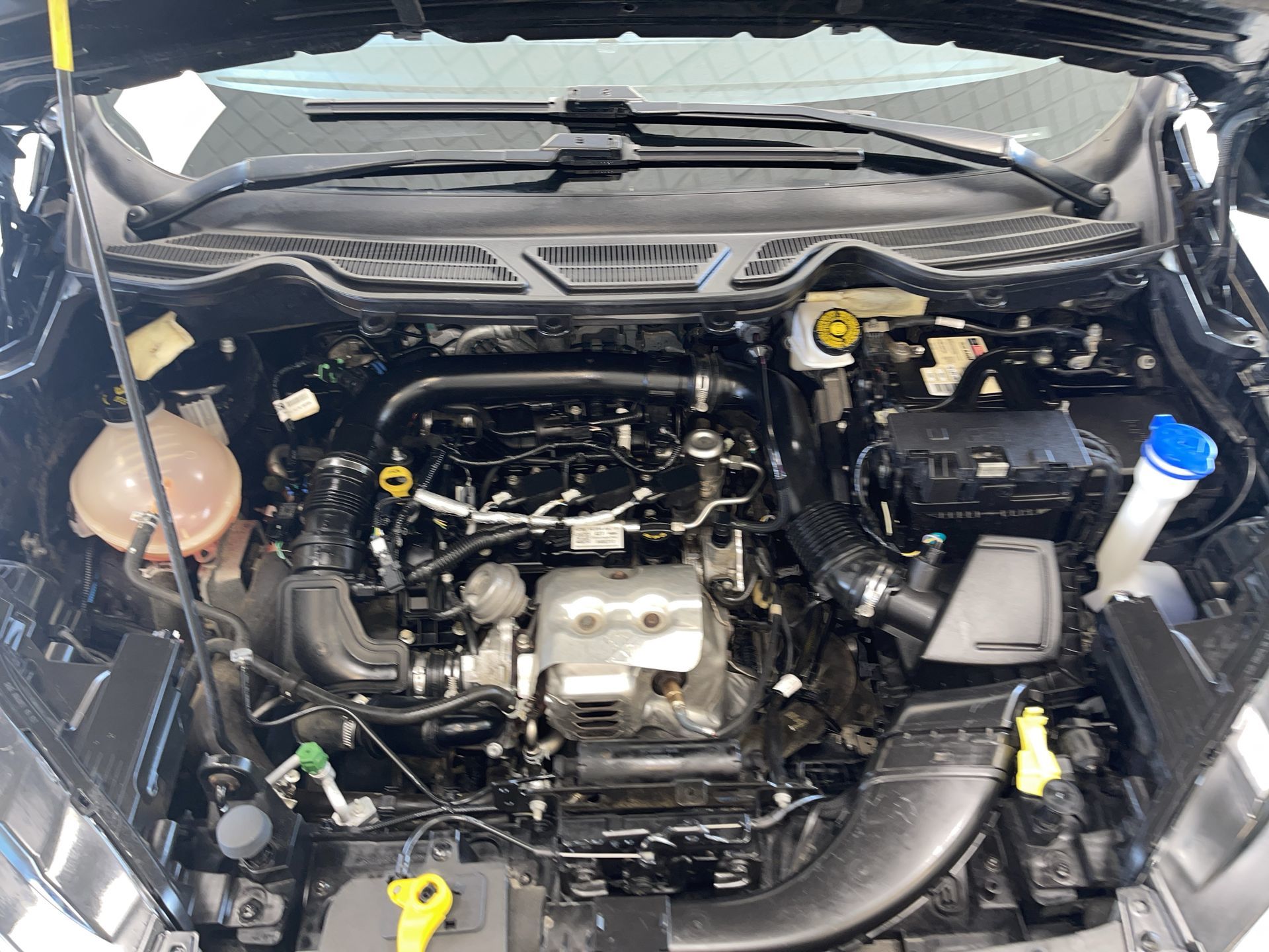 Ford EcoSport  2018 à Regina, Saskatchewan