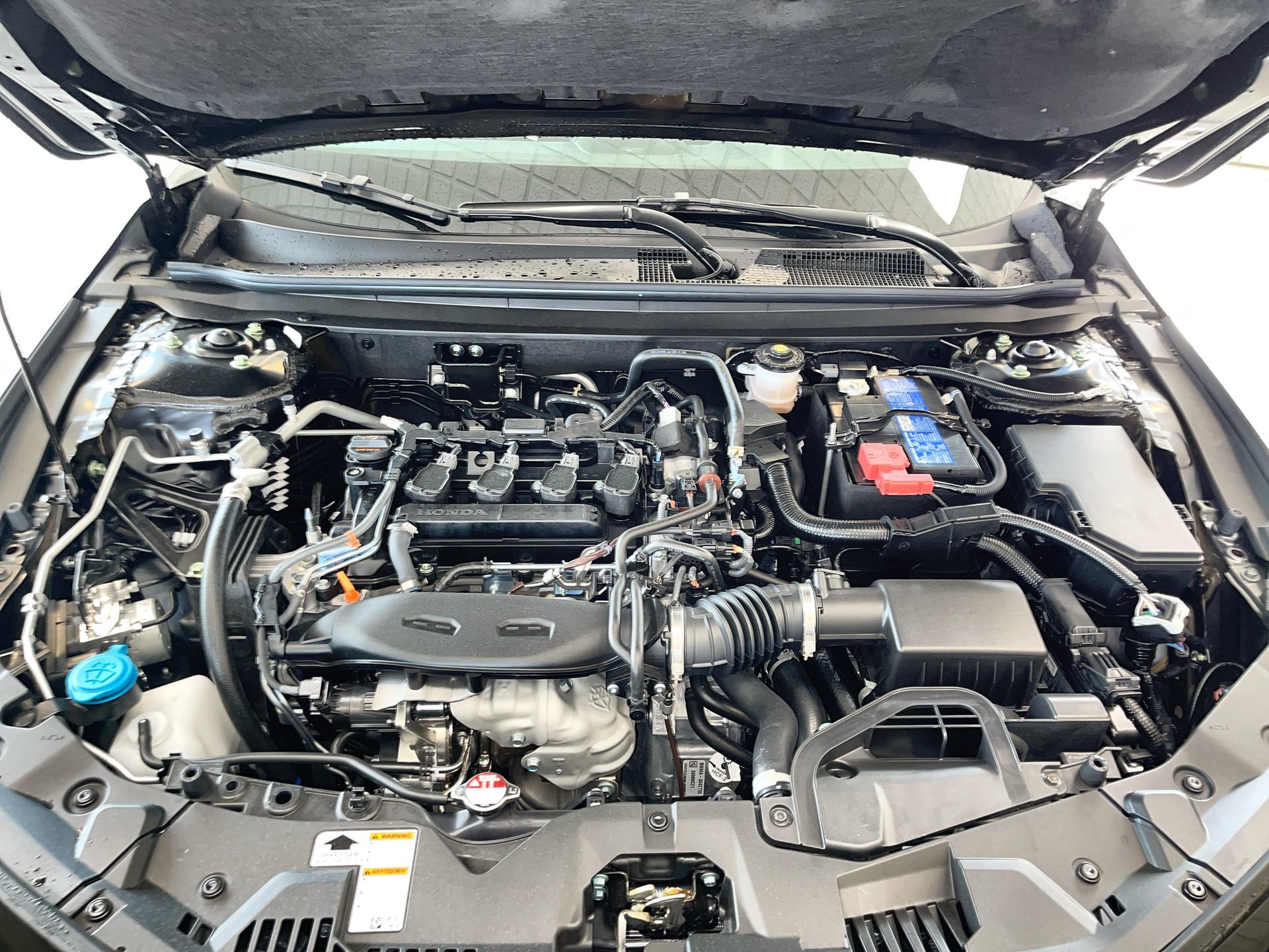 2025 Honda Accord in Regina, Saskatchewan