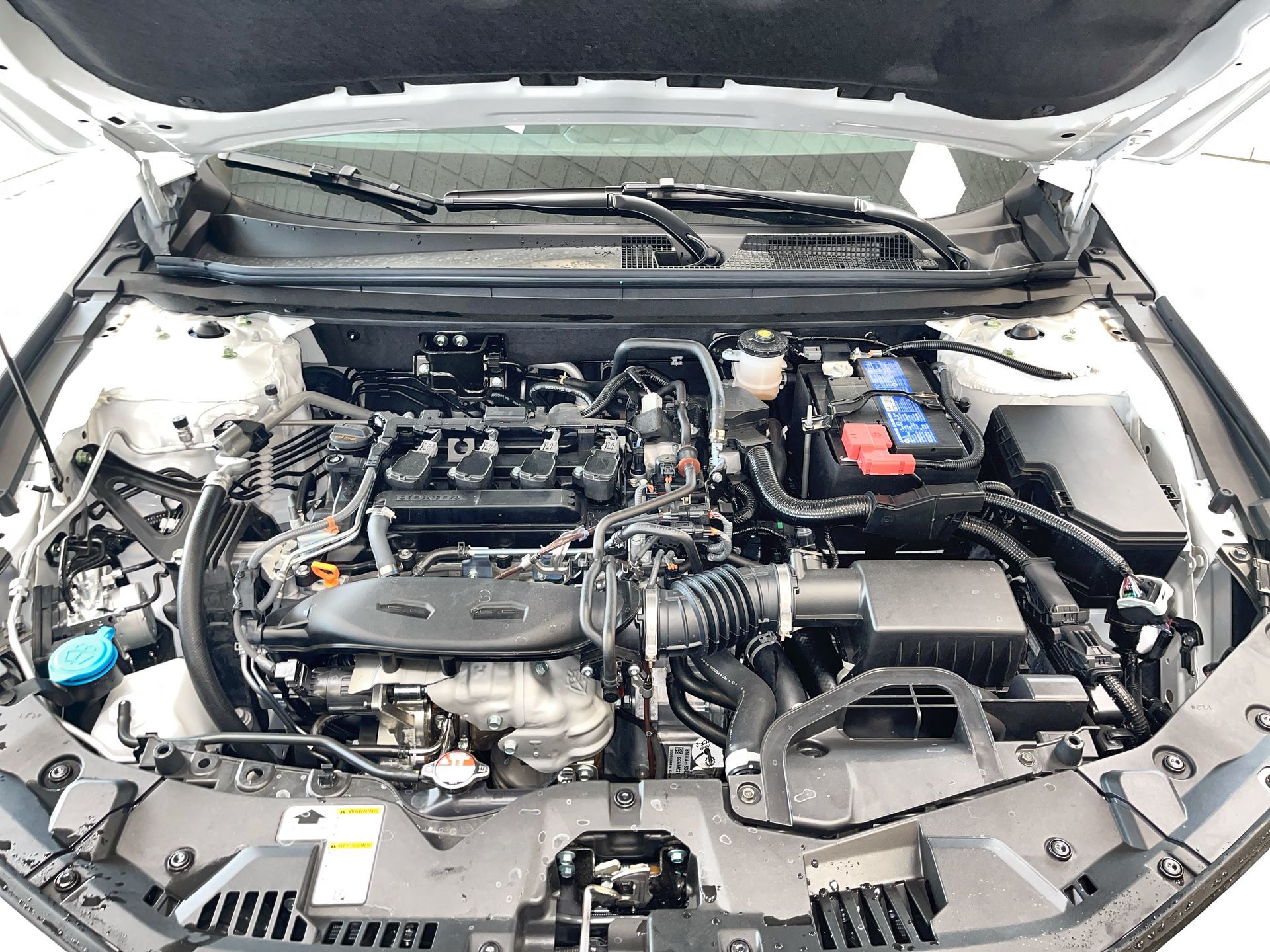 2025 Honda Accord in Regina, Saskatchewan