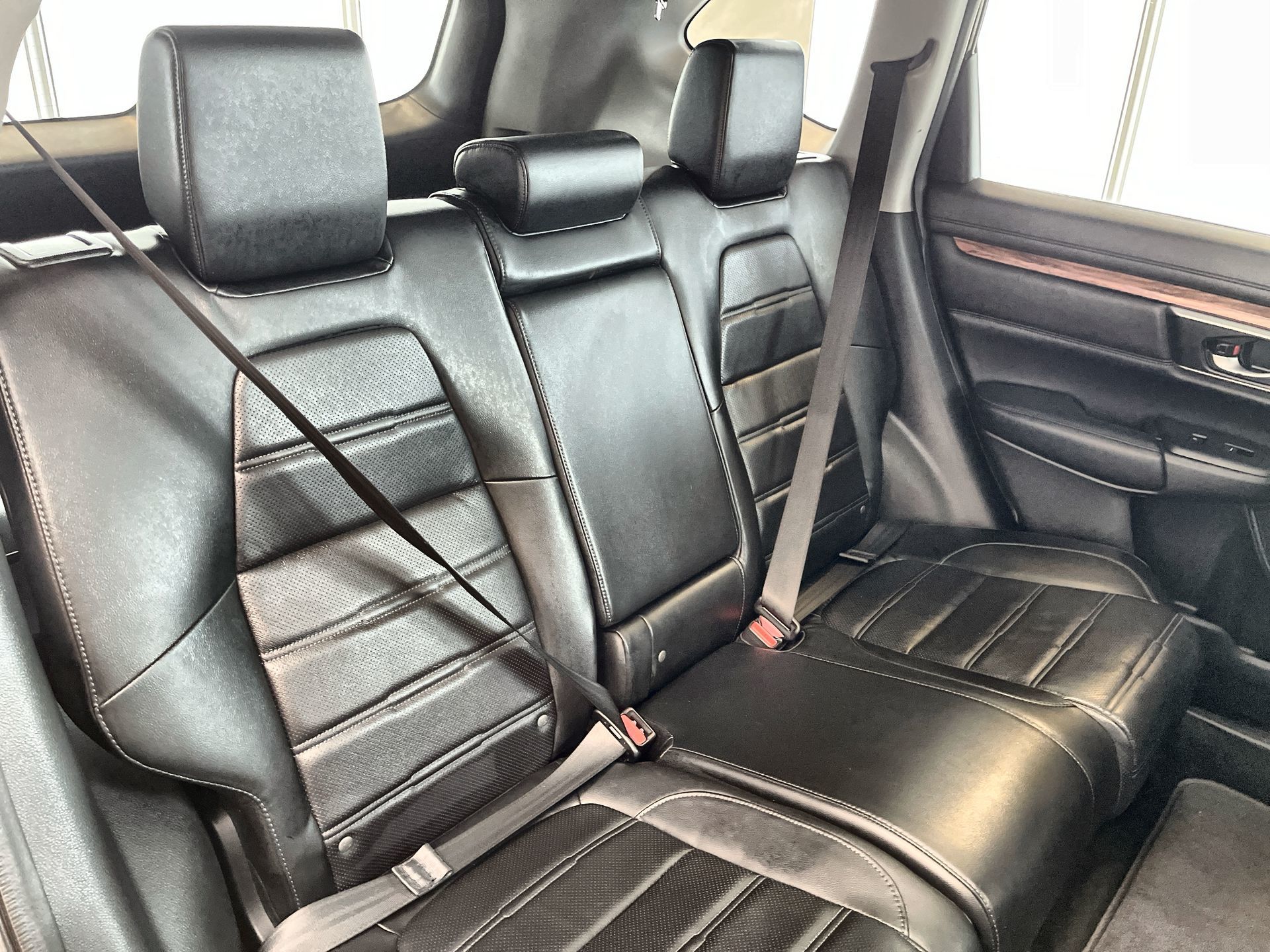 2019 Honda CR-V in Regina, Saskatchewan