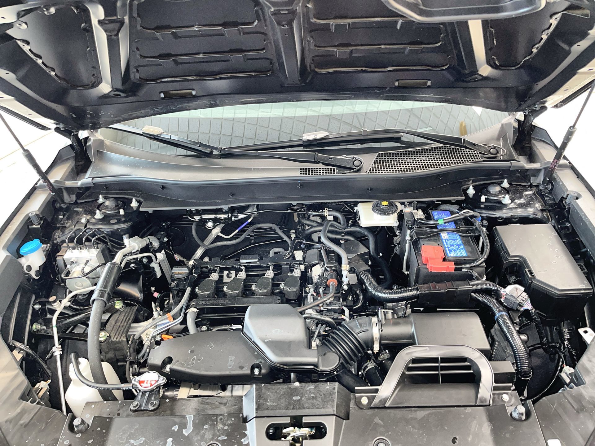 2025 Honda CR-V in Regina, Saskatchewan
