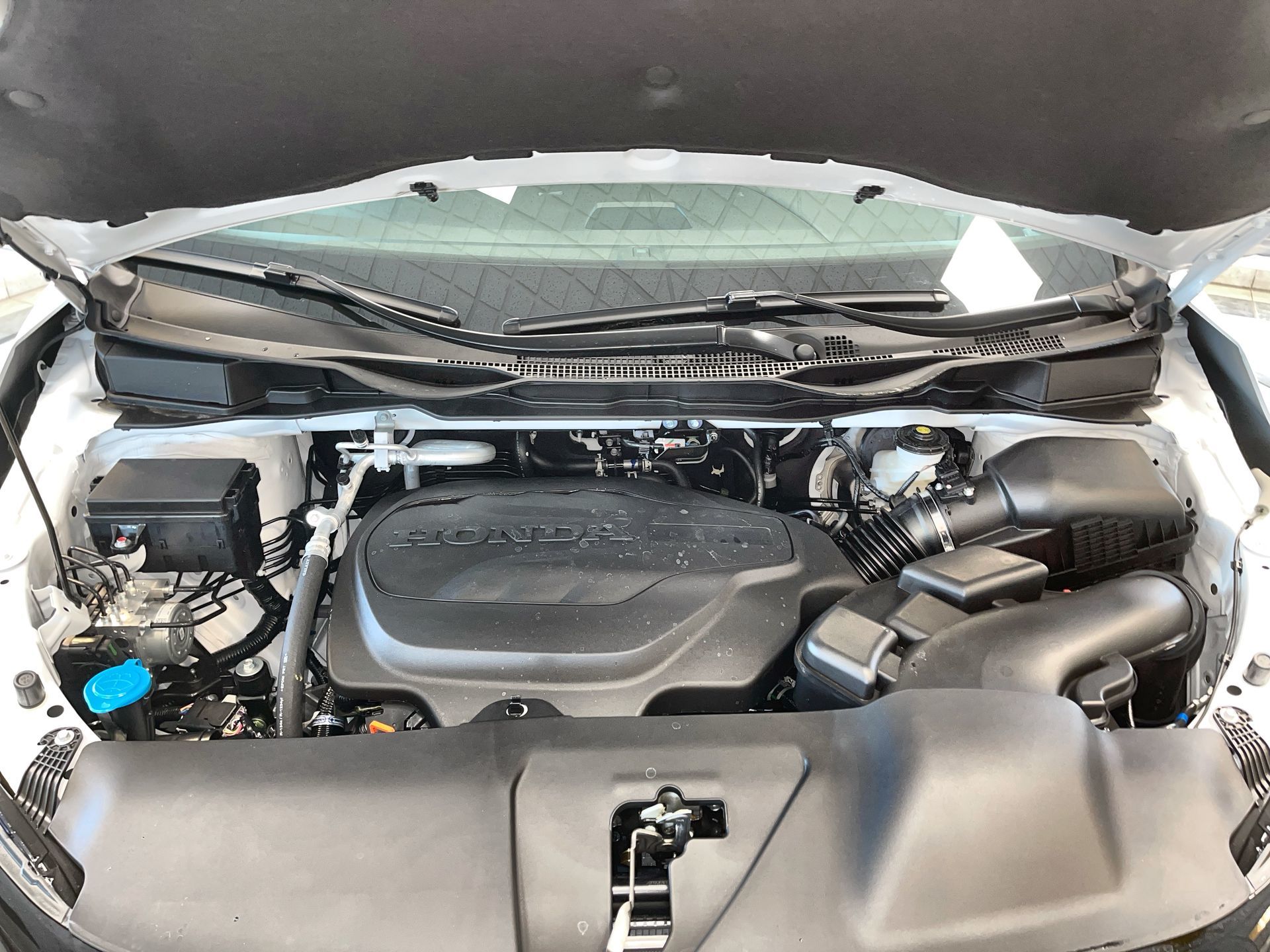 Honda Odyssey  2025 à Regina, Saskatchewan