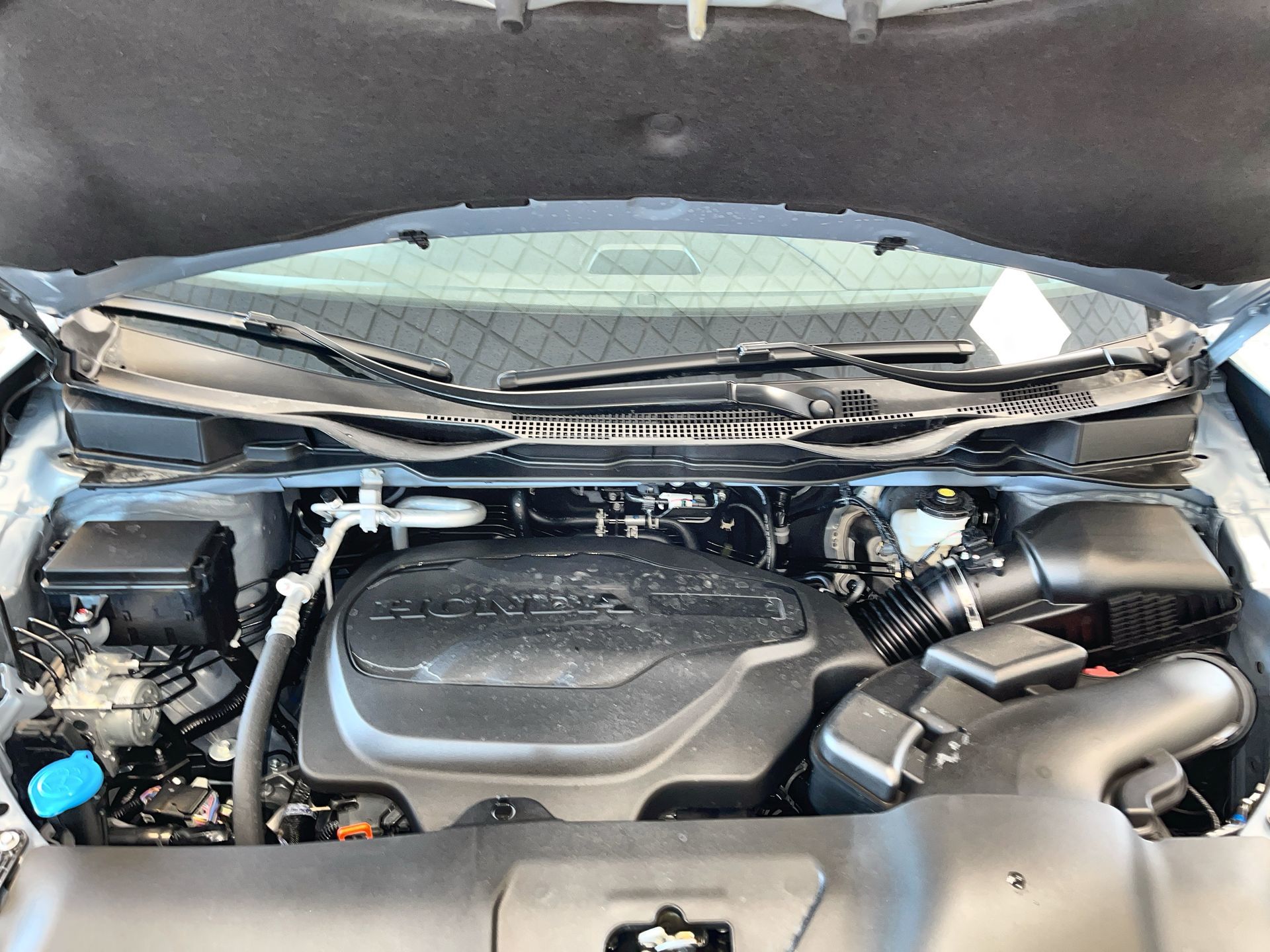 Honda Odyssey  2025 à Regina, Saskatchewan
