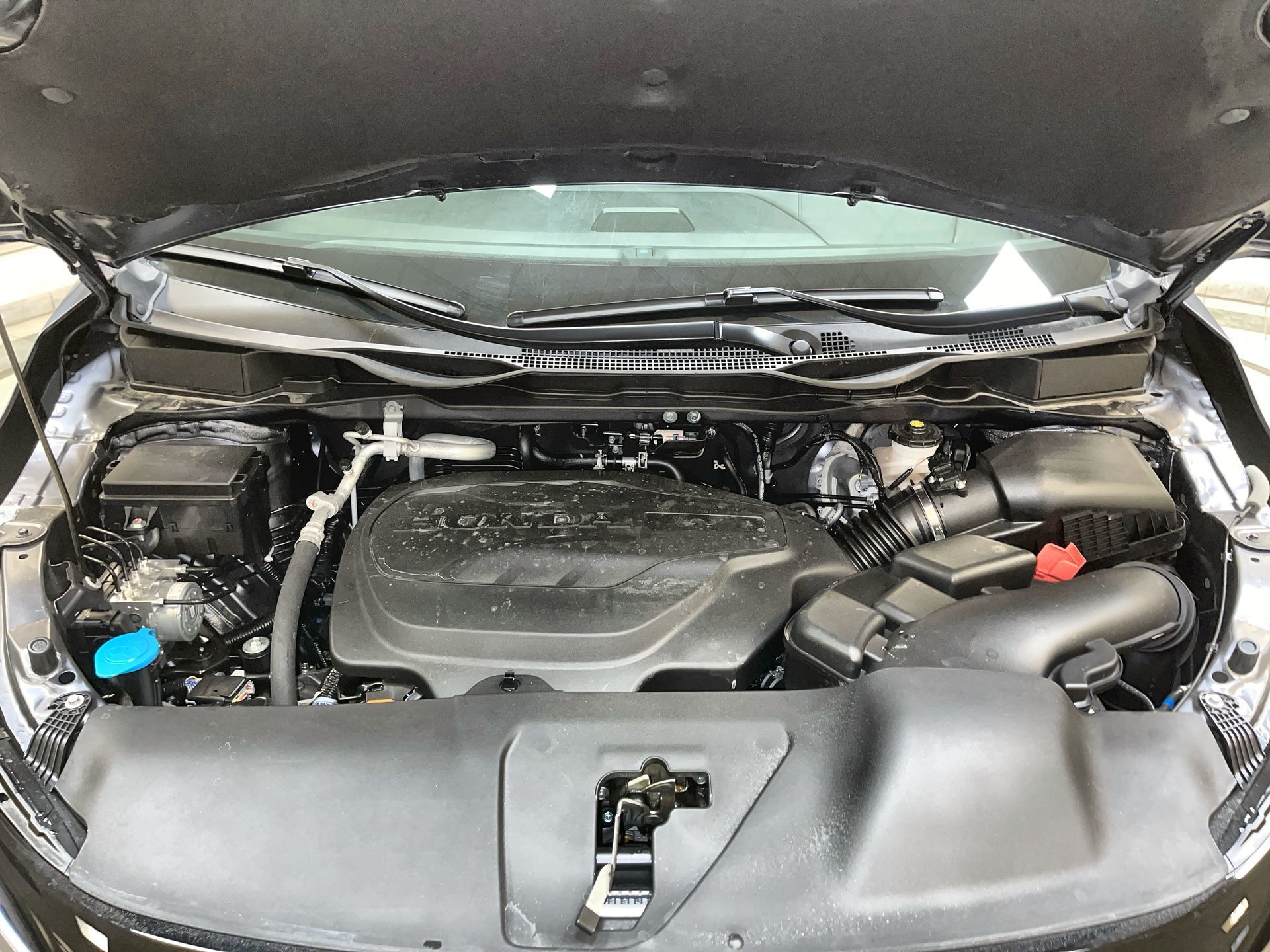 2025 Honda Odyssey in Regina, Saskatchewan