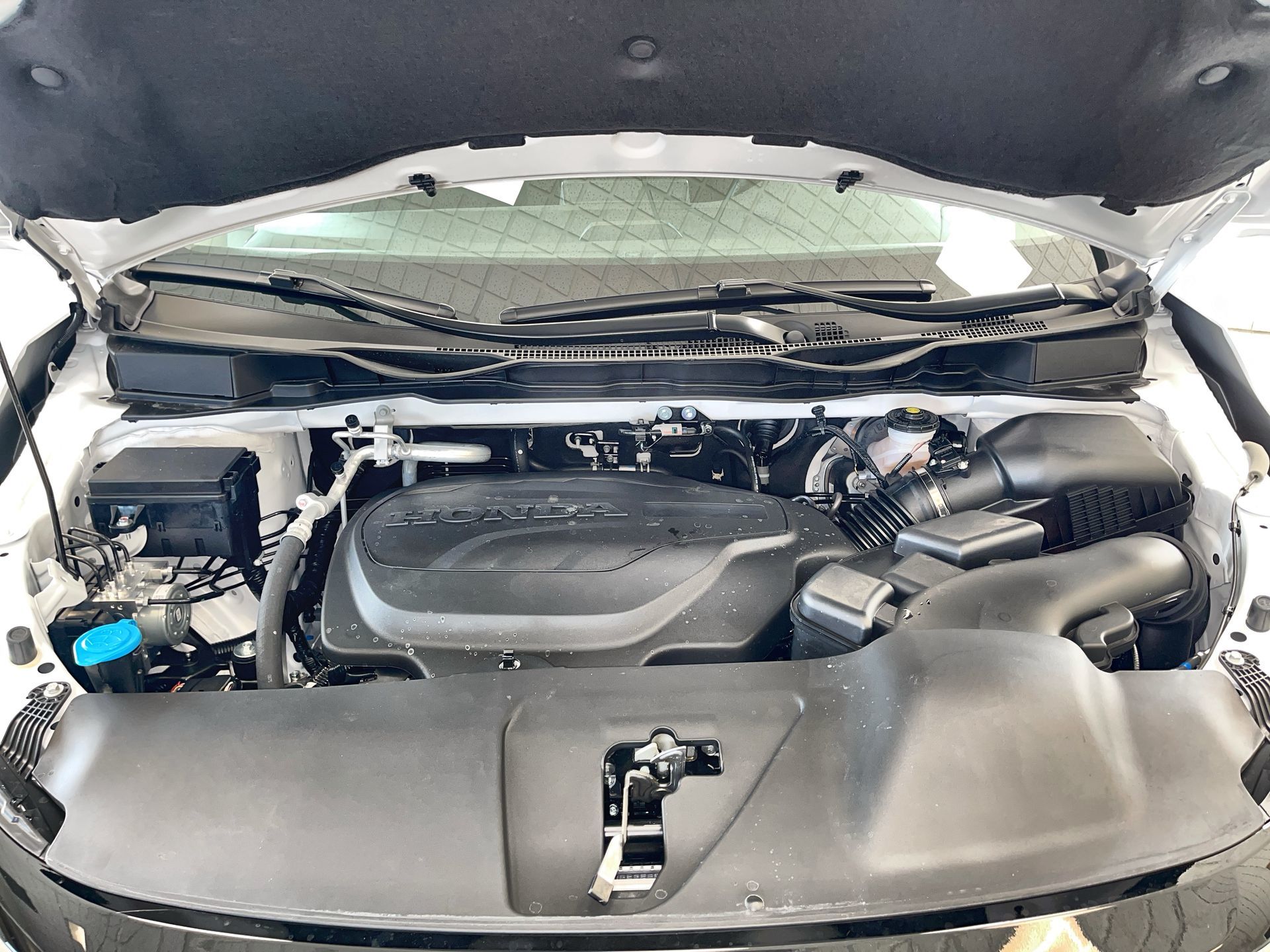 Honda Odyssey  2025 à Regina, Saskatchewan