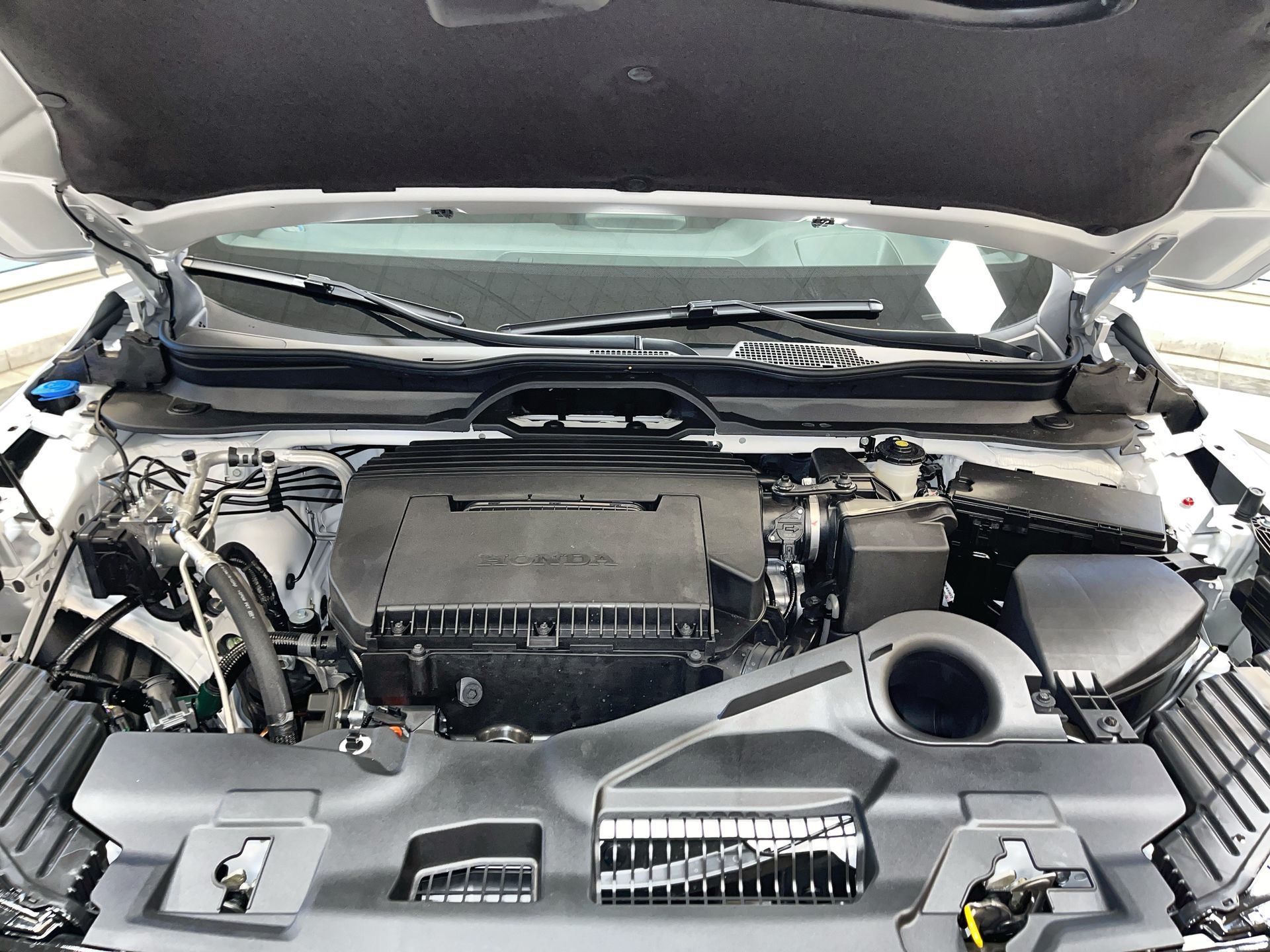 2025 Honda Pilot in Regina, Saskatchewan