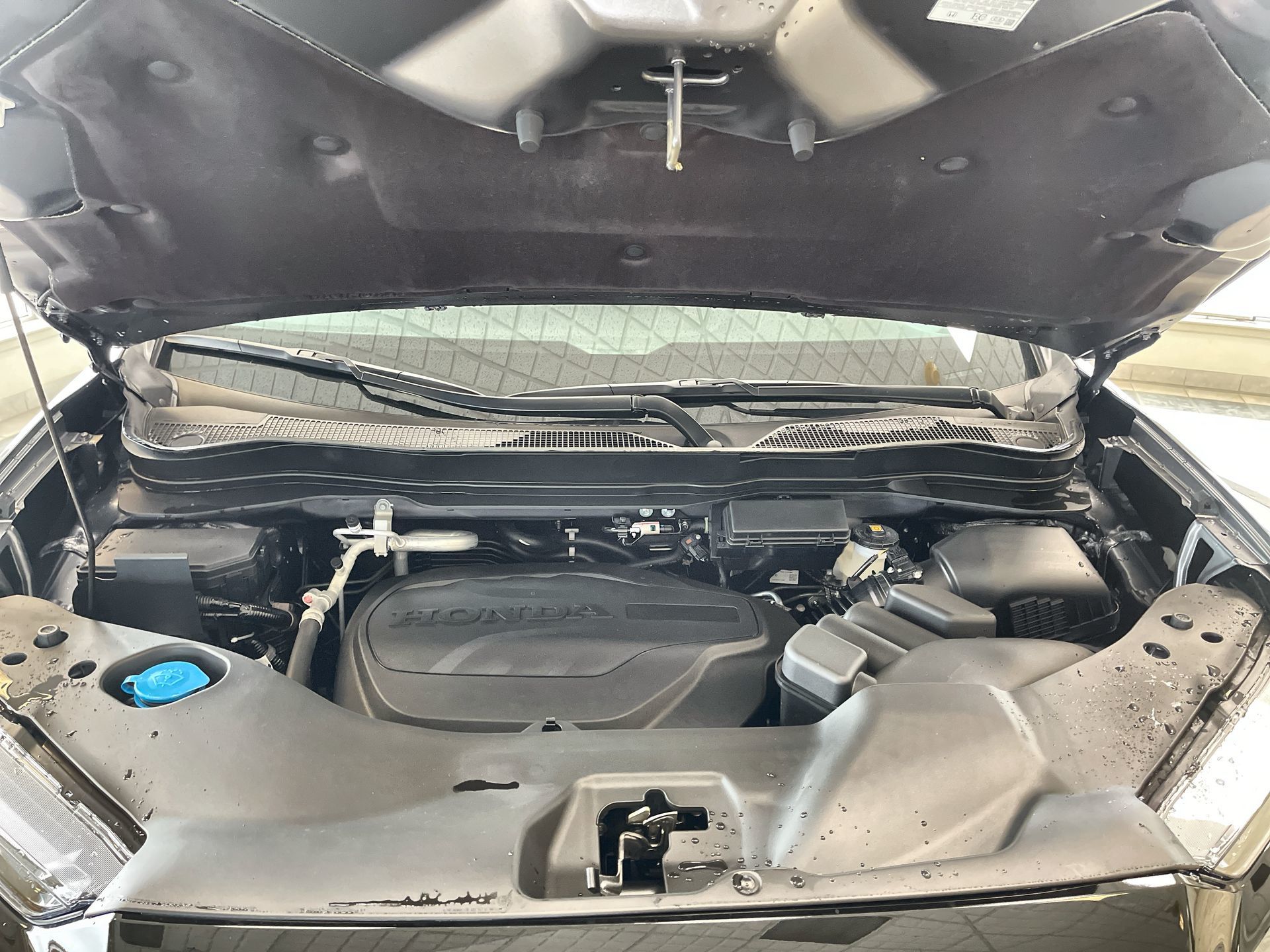 2026 Honda Ridgeline in Regina, Saskatchewan