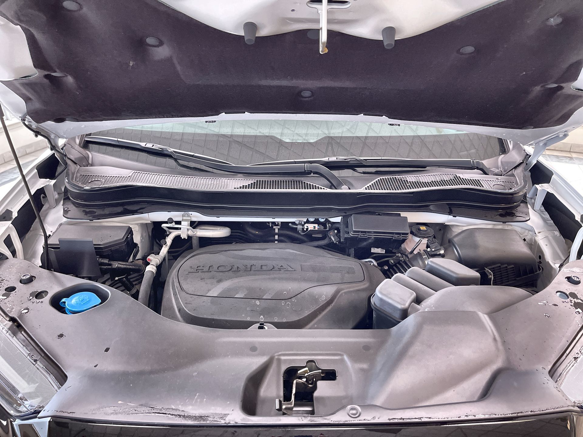 2026 Honda Ridgeline in Regina, Saskatchewan