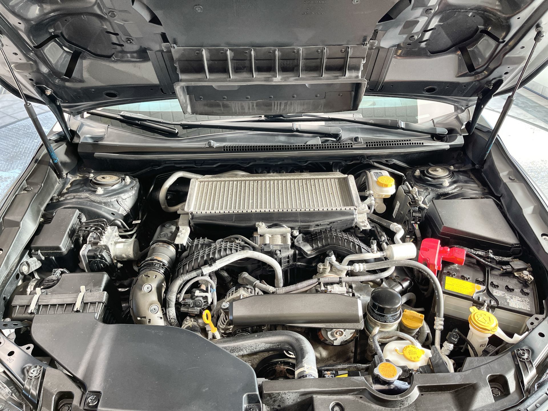 2024 Subaru WRX in Regina, Saskatchewan